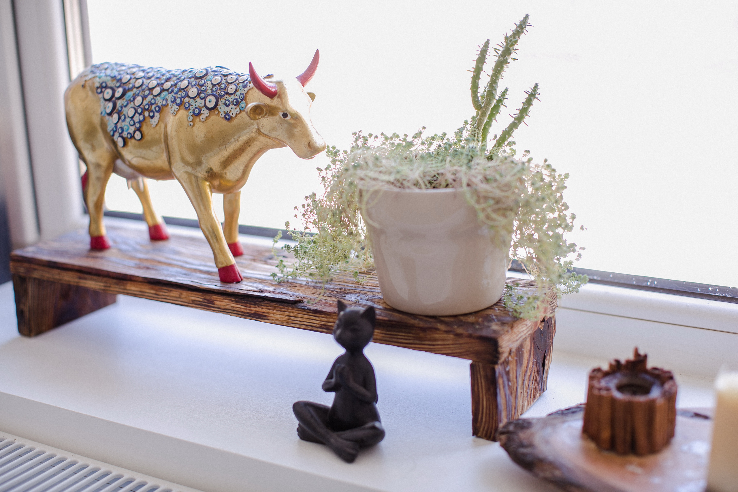 YogaLabStudio. Алексей Дьяков. Photo • Video • Event