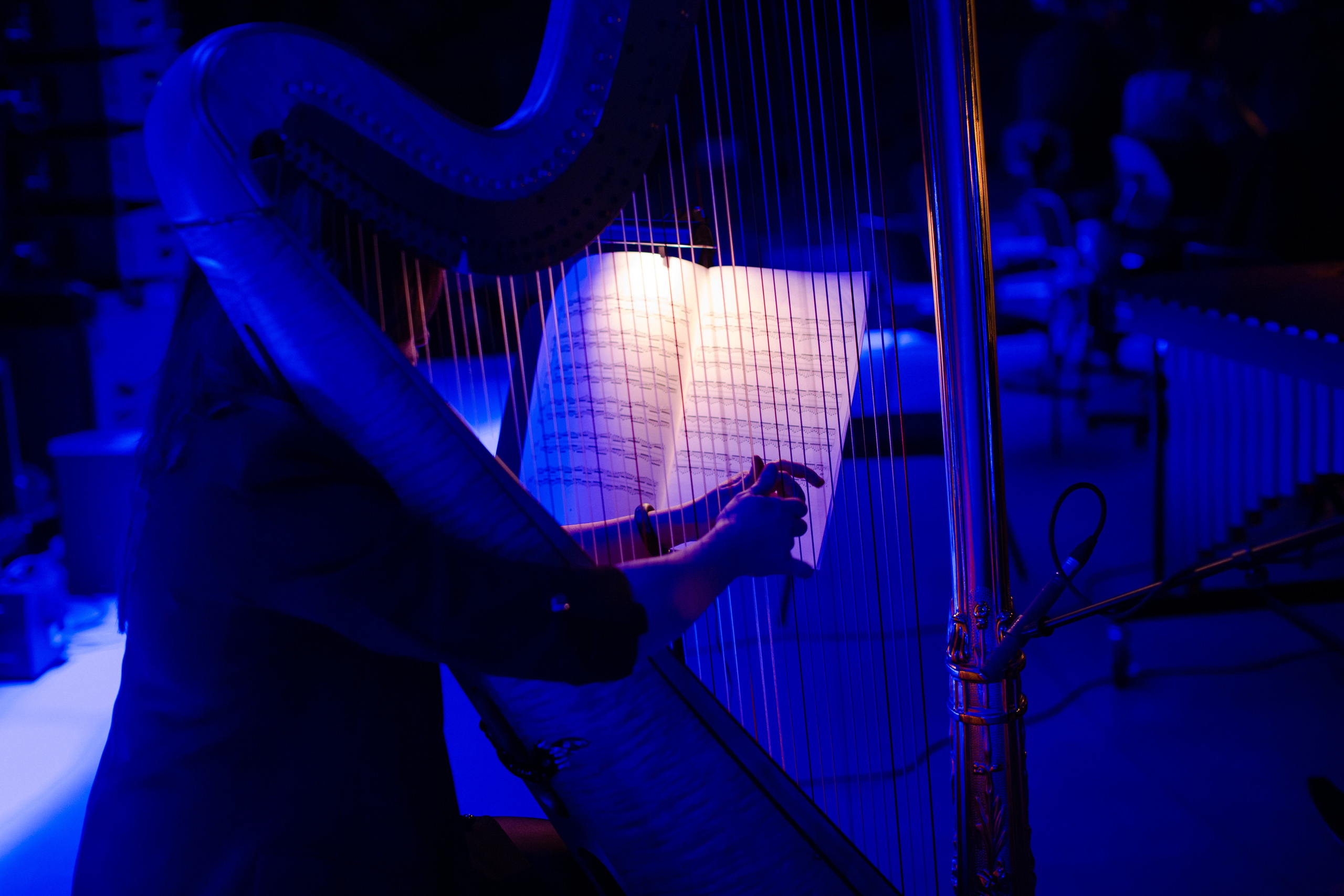 Корпоратив UniCredit Bank — SoundUp. Алексей Дьяков. Photo • Video • Event