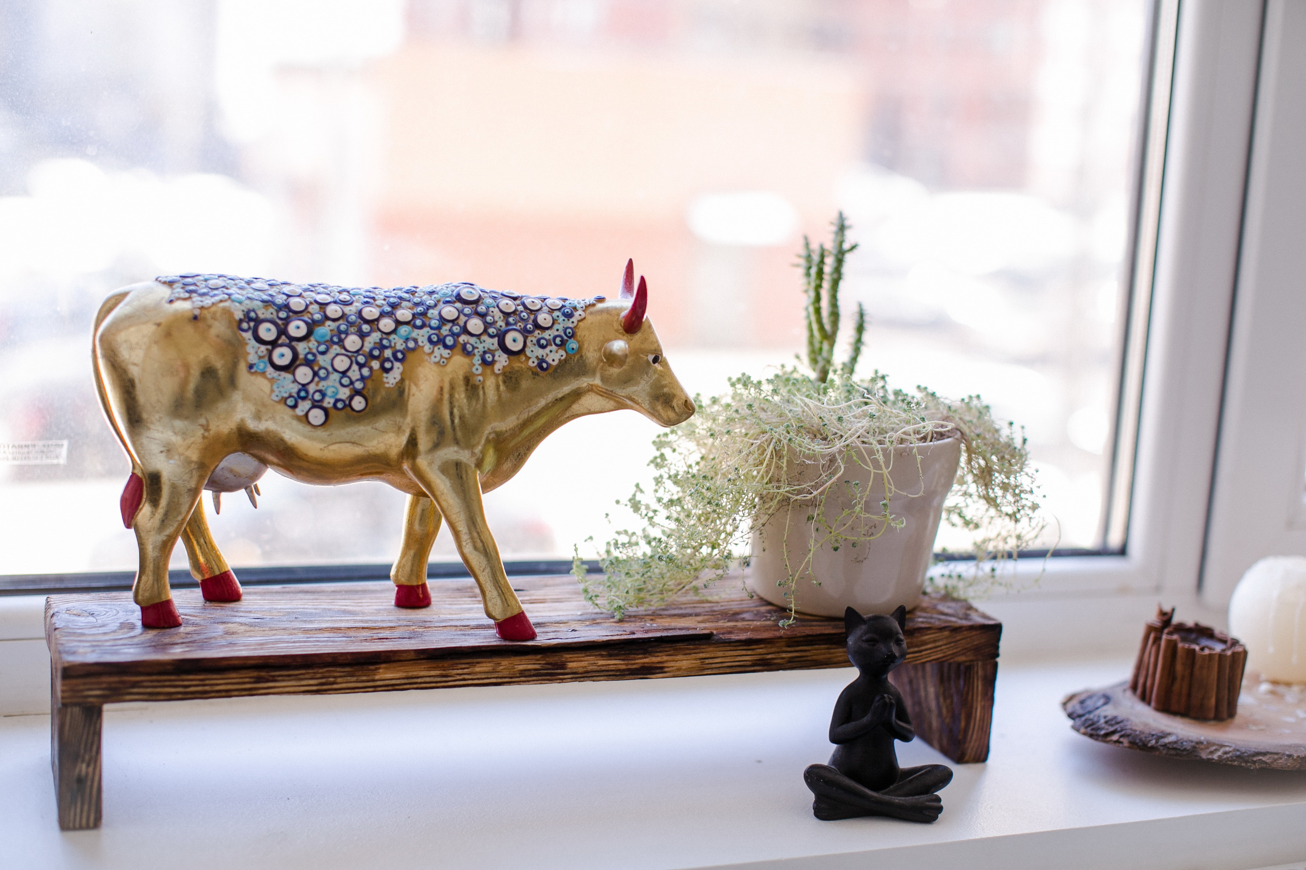 YogaLabStudio. Алексей Дьяков. Photo • Video • Event