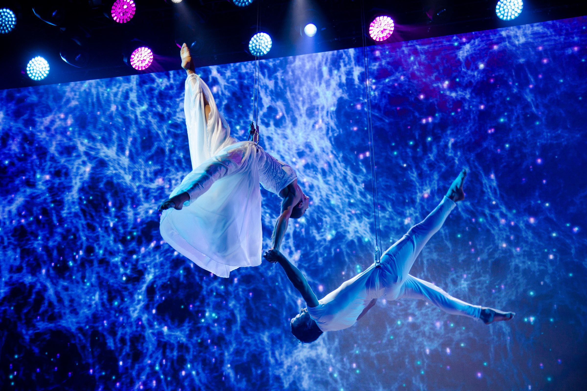 Олимпиада Мегаполисов. Алексей Дьяков. Photo • Video • Event