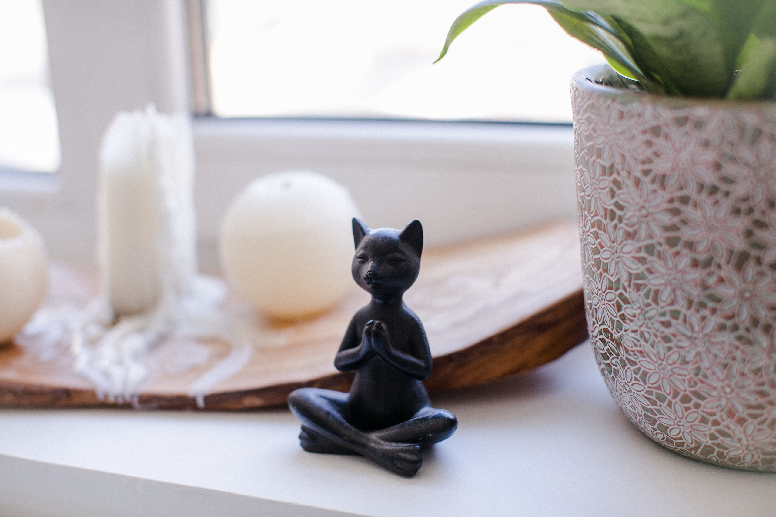 YogaLabStudio. Алексей Дьяков. Photo • Video • Event