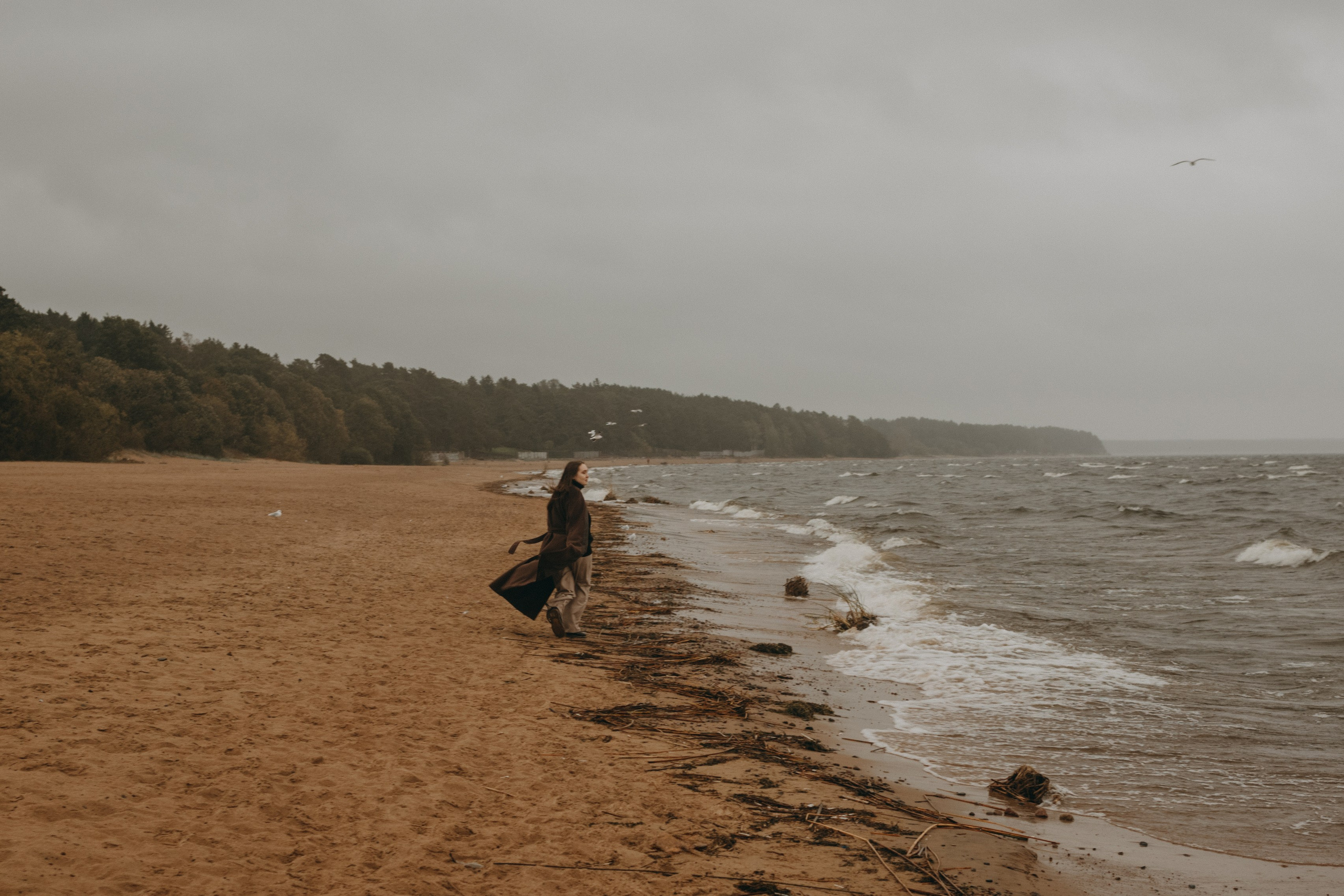 Жу и ее семья. Фотограф — Анималист | Санкт-Петербург
