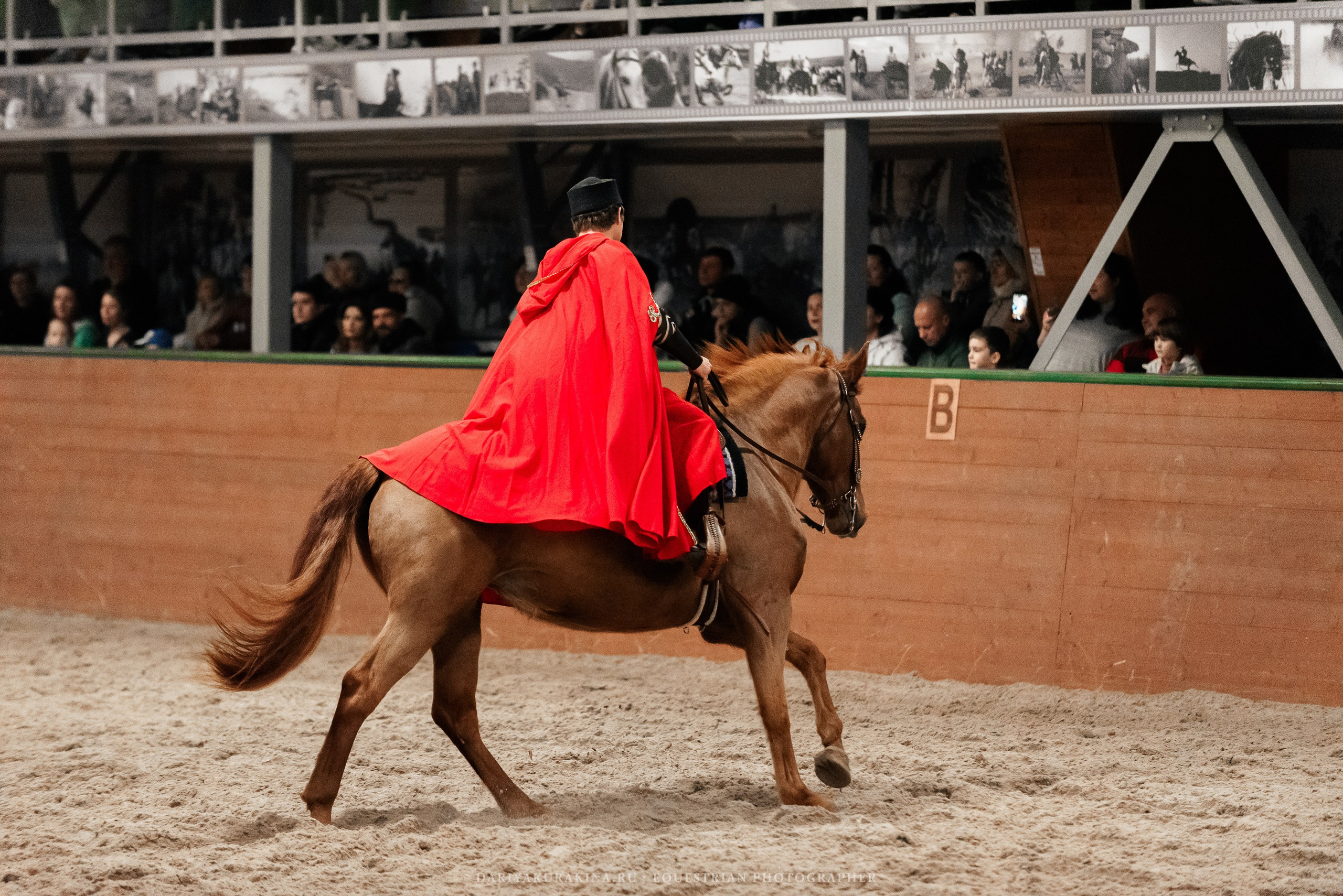Конное представление «Дыхание Звёзд». Конный фотограф Куракина Дарья • Фотосессии с лошадьми