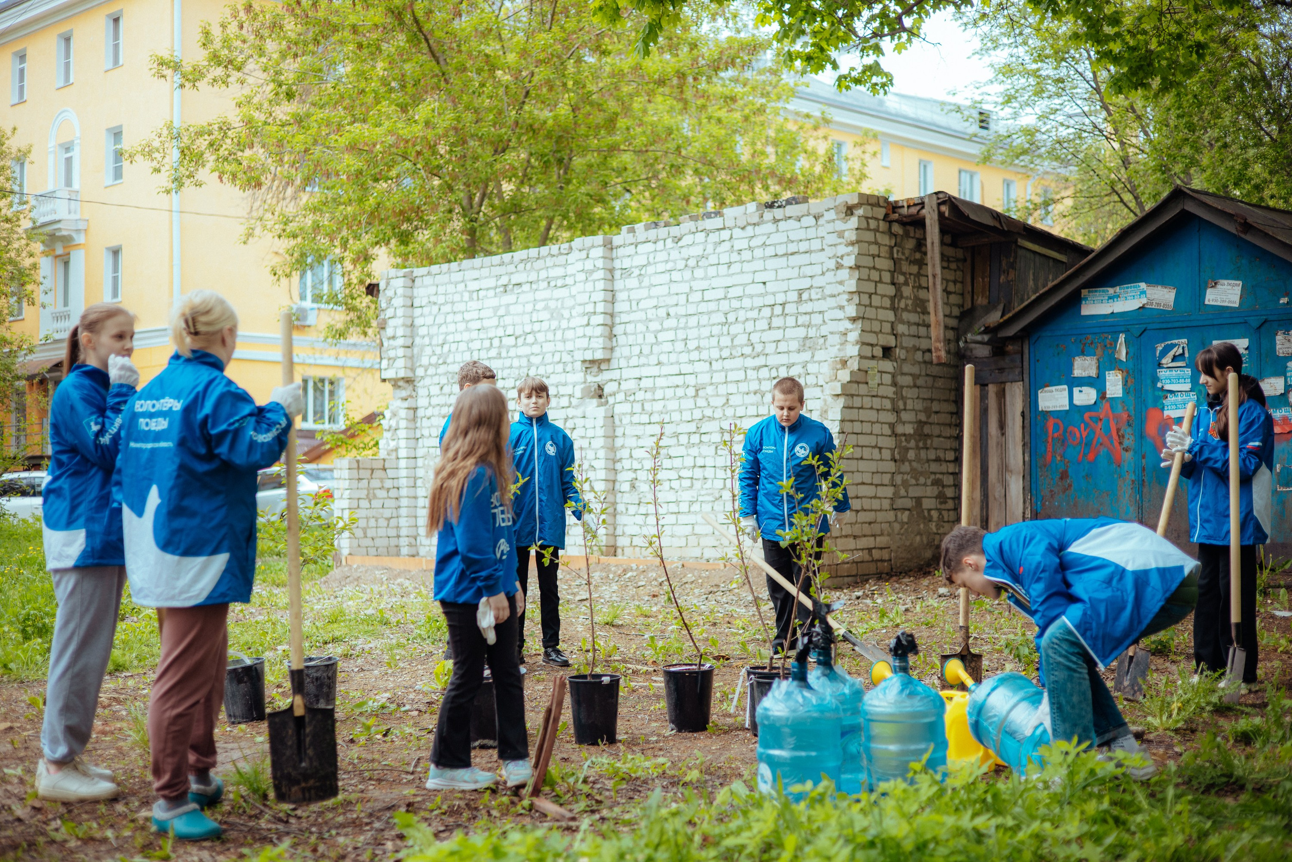 Сад памяти | волонтеры победы