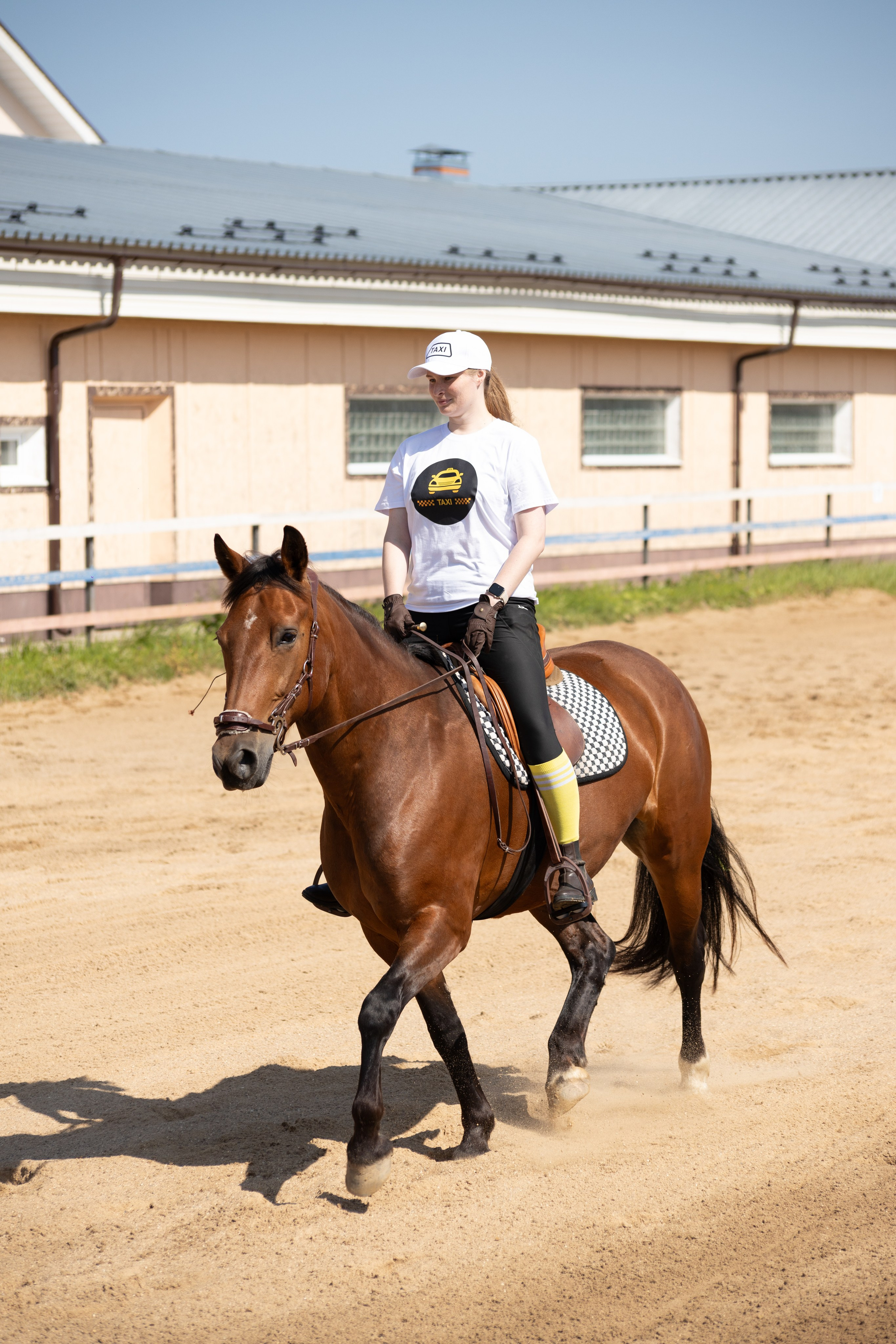 Конюшня. Фотограф в Москве и Истре