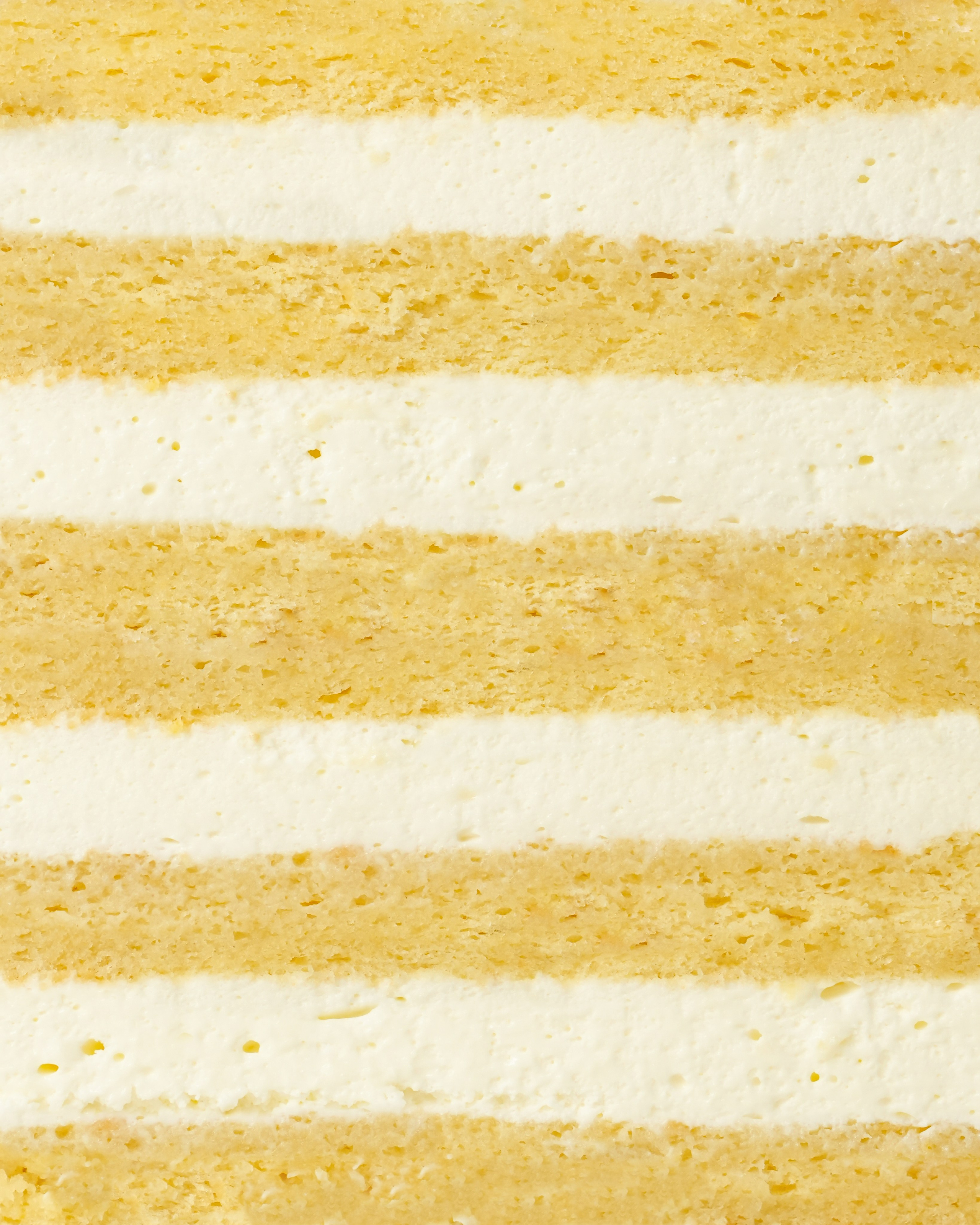 Sama Atelier. AMODEO STUDIO