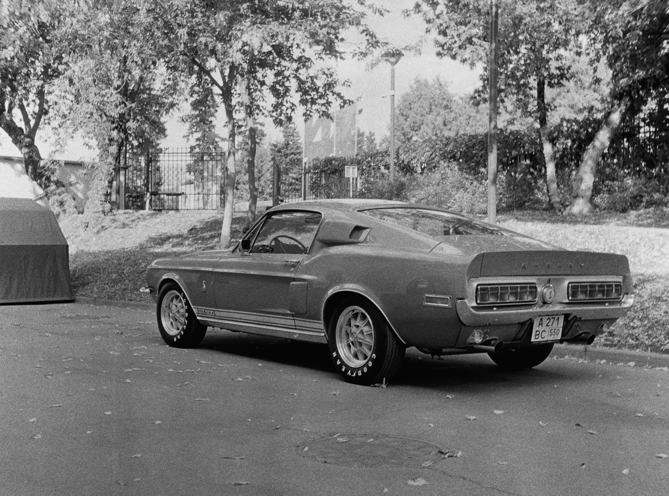 Роскошь. Сергей Новиков Фотограф Москва