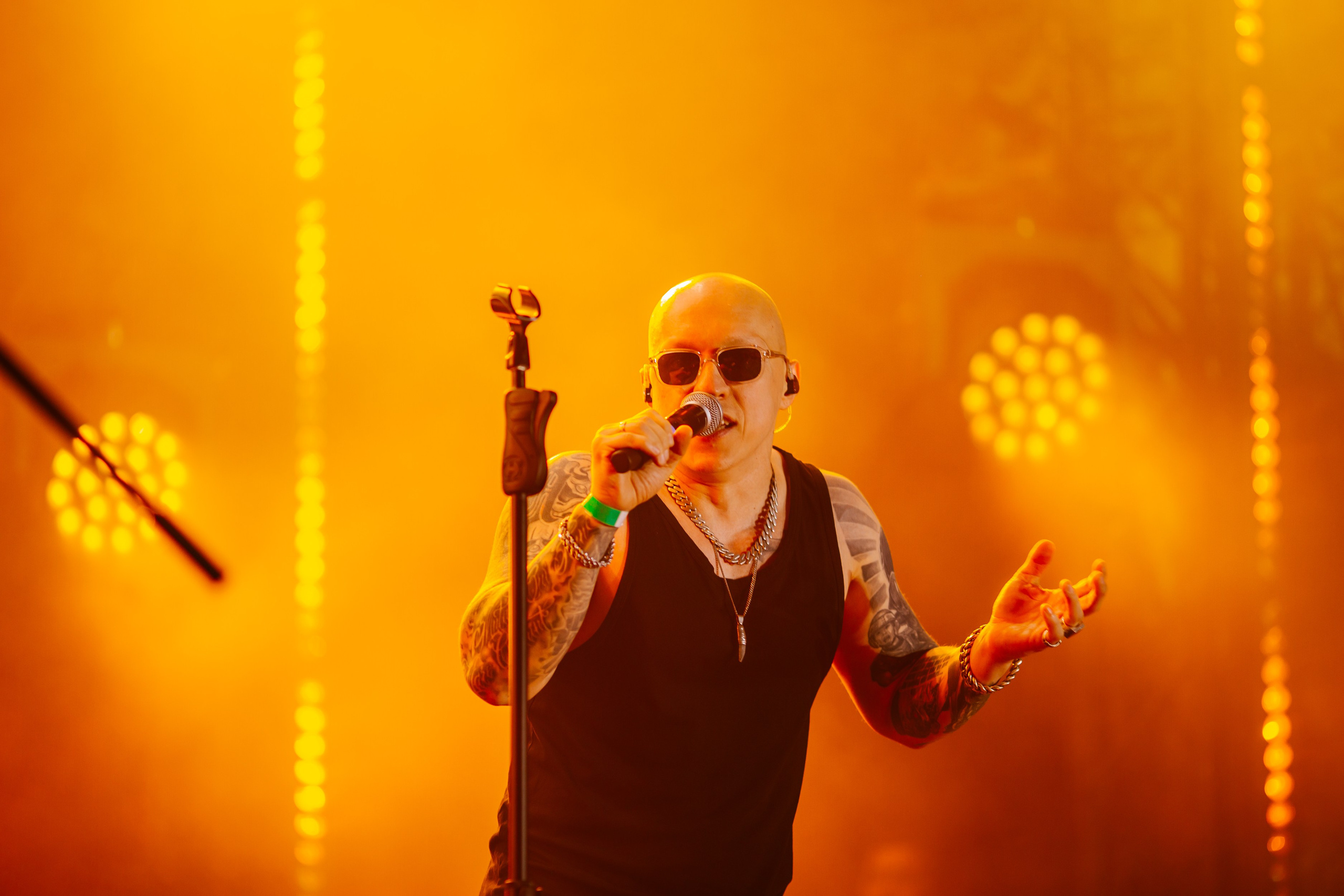 Людмил Огурченко, Заточка