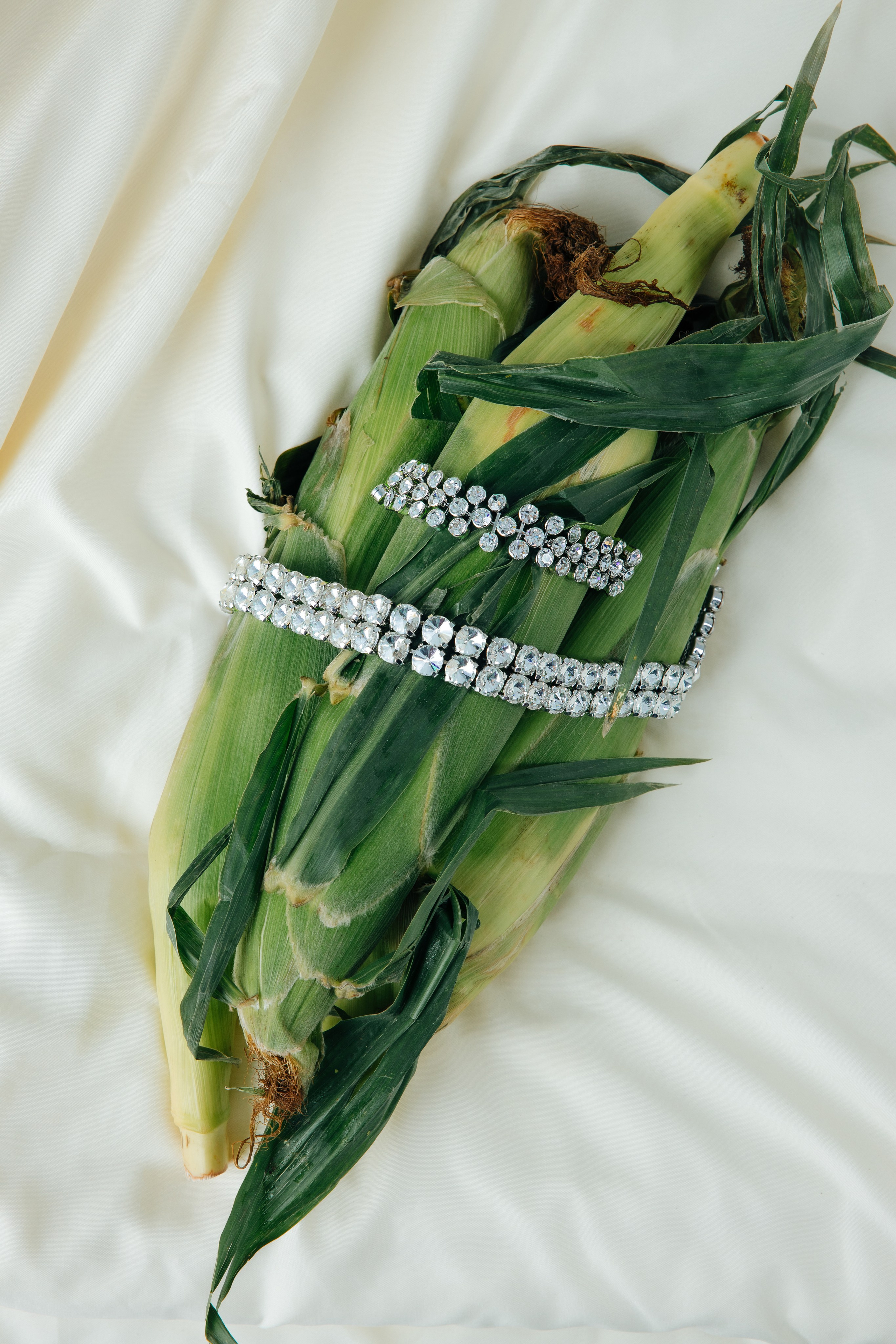 Poison Drop. Продюсер фото и видео съемок под ключ Москва