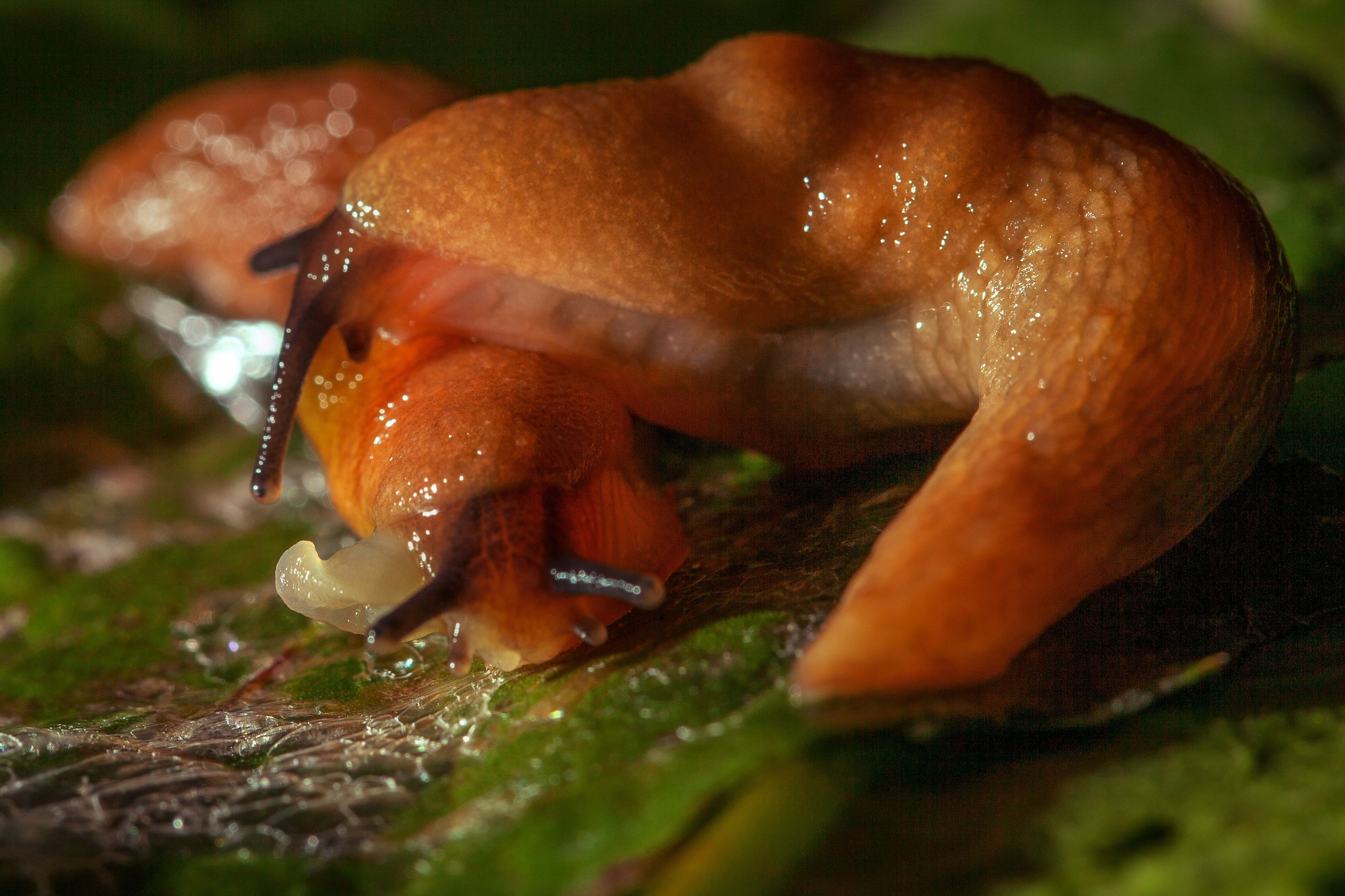 Красота вокруг нас. Медиапродюсер, фотограф в Минеральных Водах —Виктор Холодов