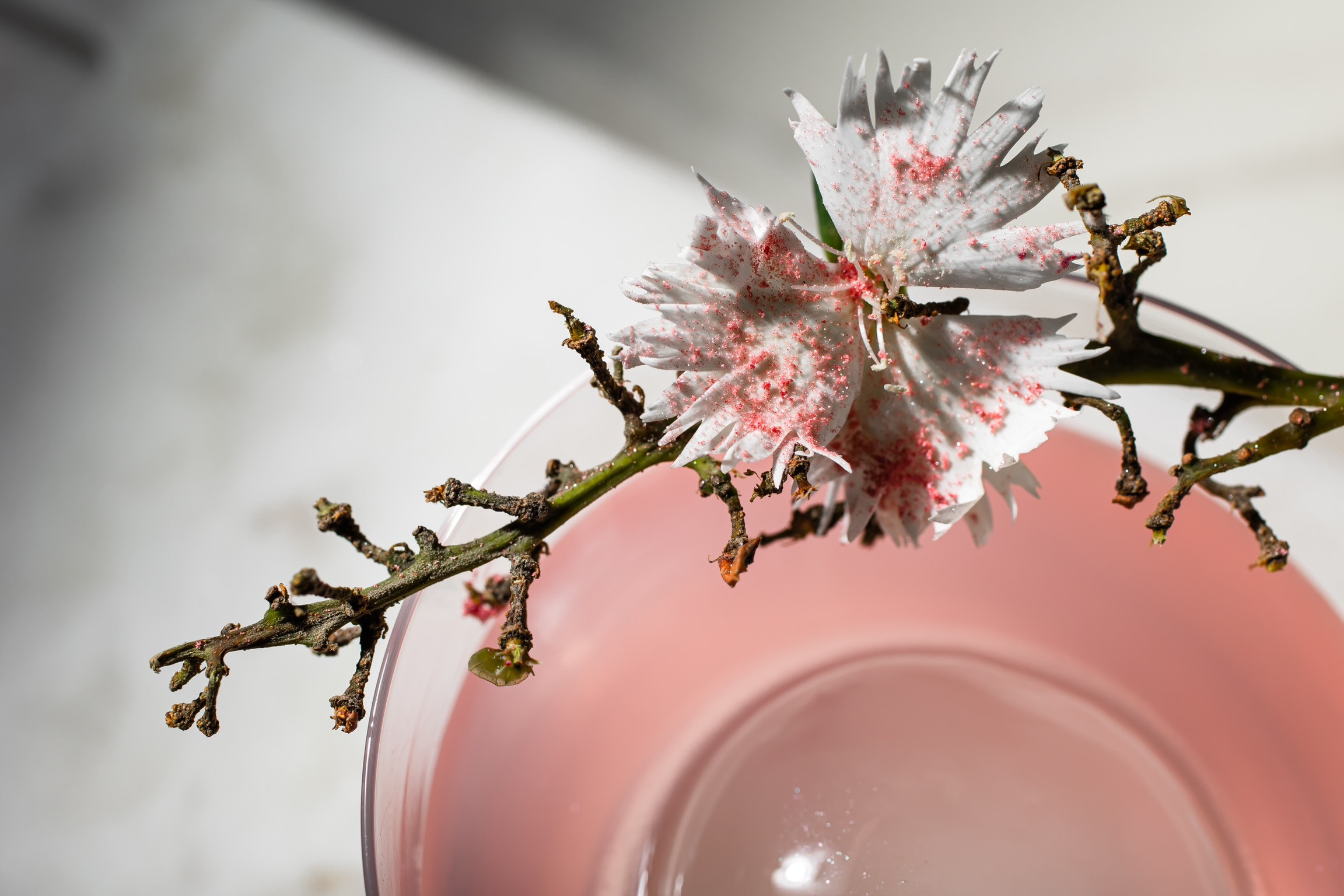 LOBAS EVENT. Фотограф Агеева Мария