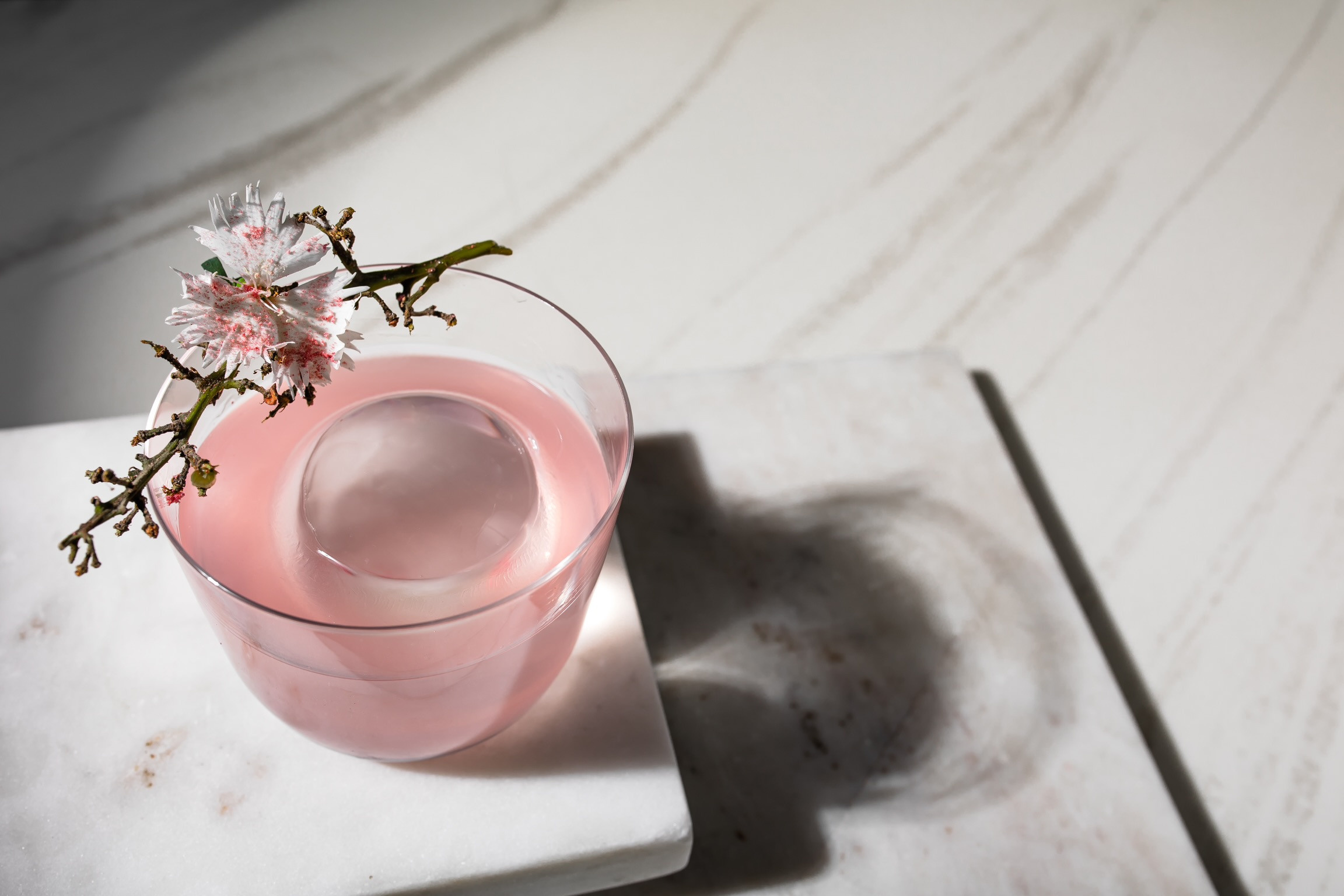 LOBAS EVENT. Фотограф Агеева Мария