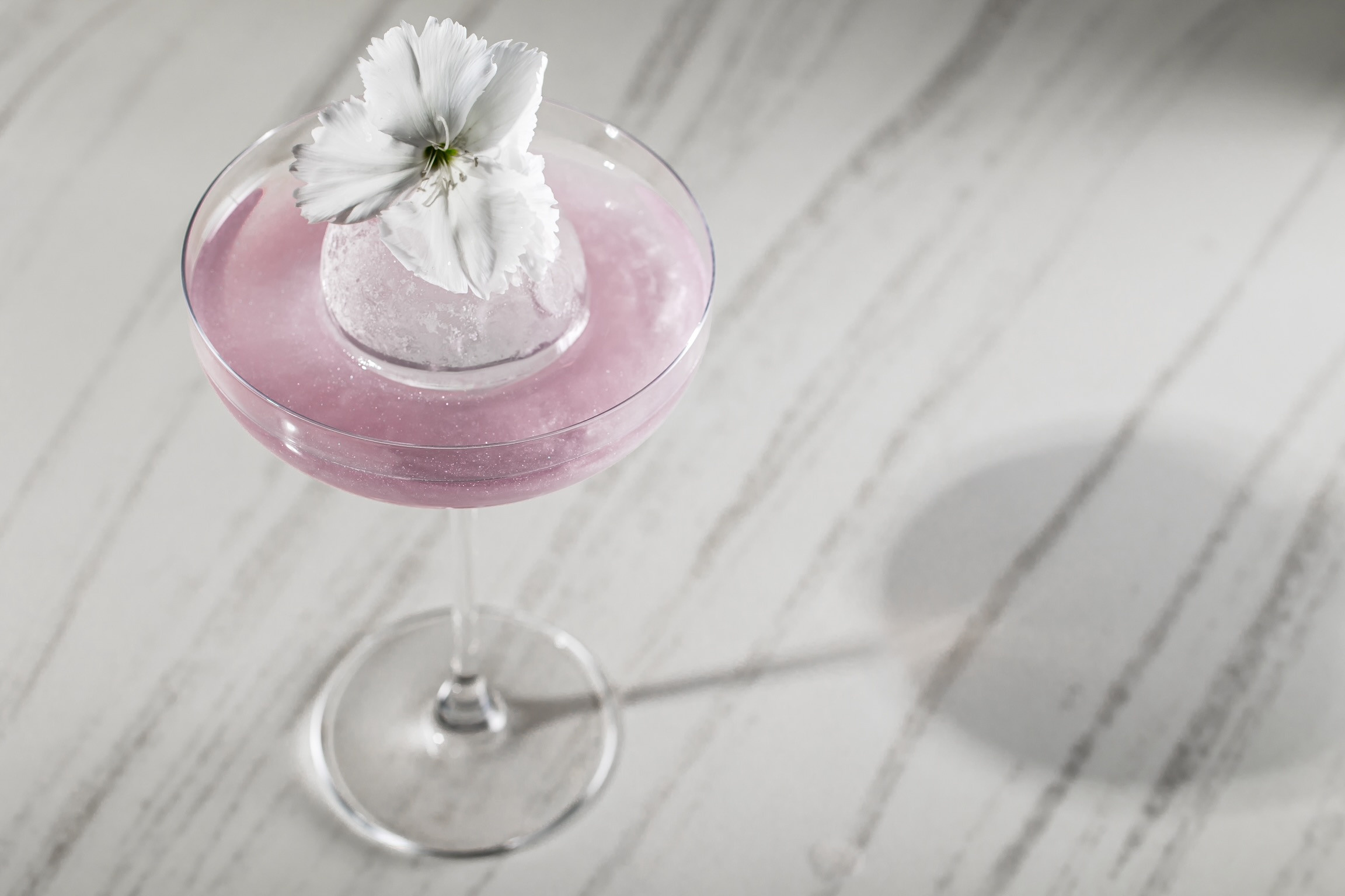 LOBAS EVENT. Фотограф Агеева Мария