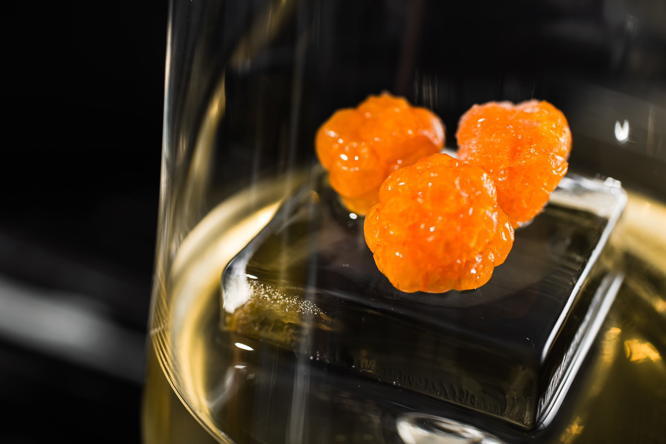 LOBAS EVENT. Фотограф Агеева Мария