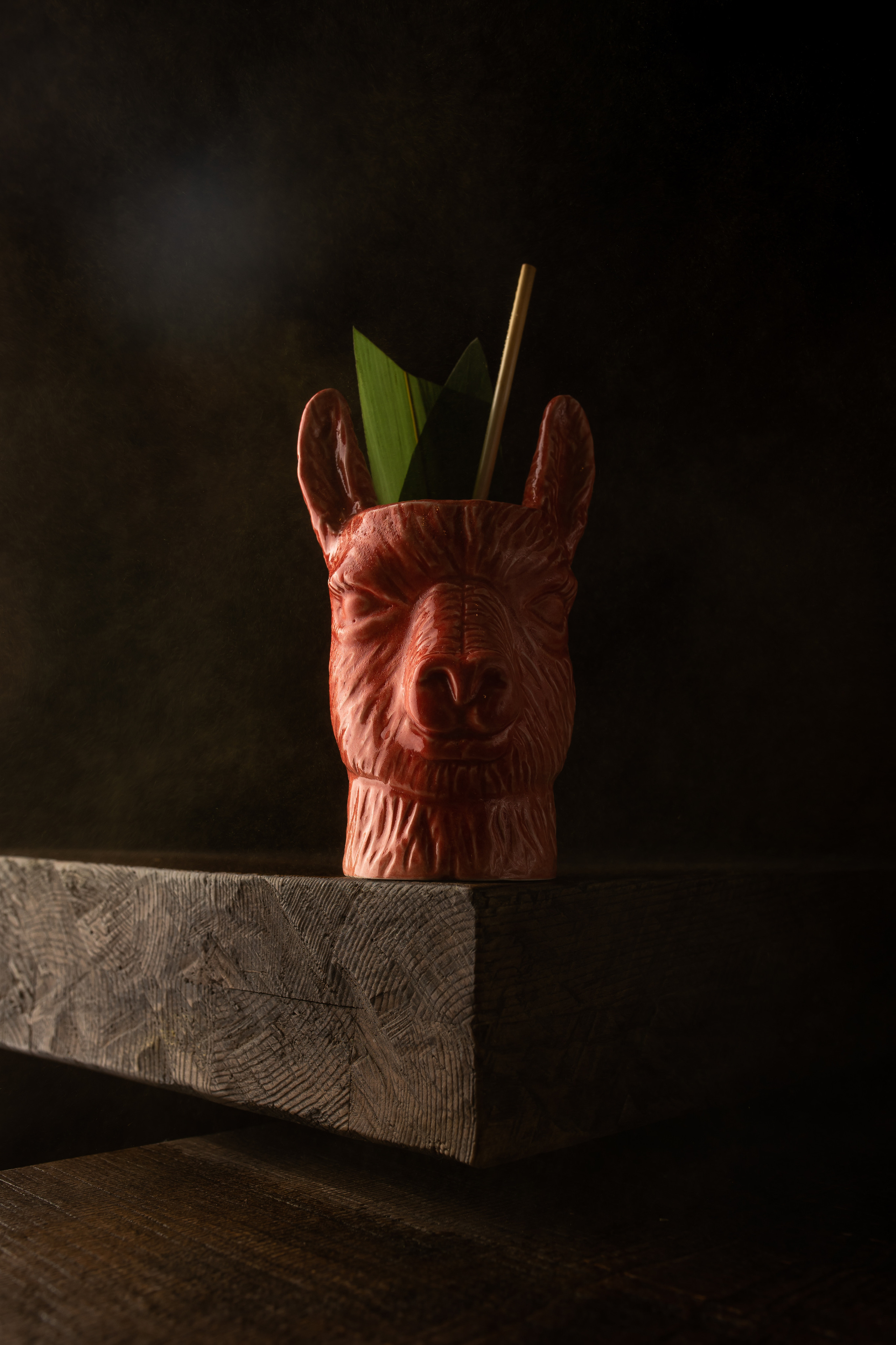 ALPACA. Фотограф Агеева Мария