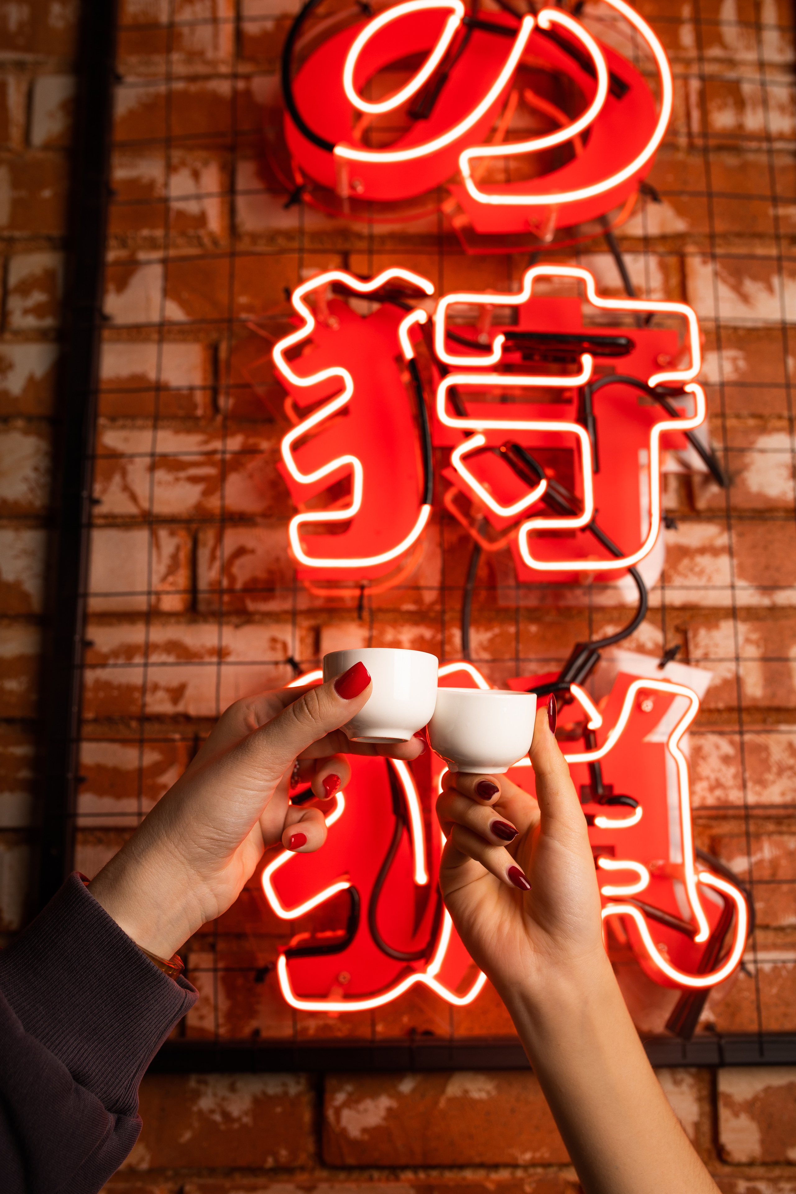 ТЕБУРАСИКА. Фотограф Агеева Мария