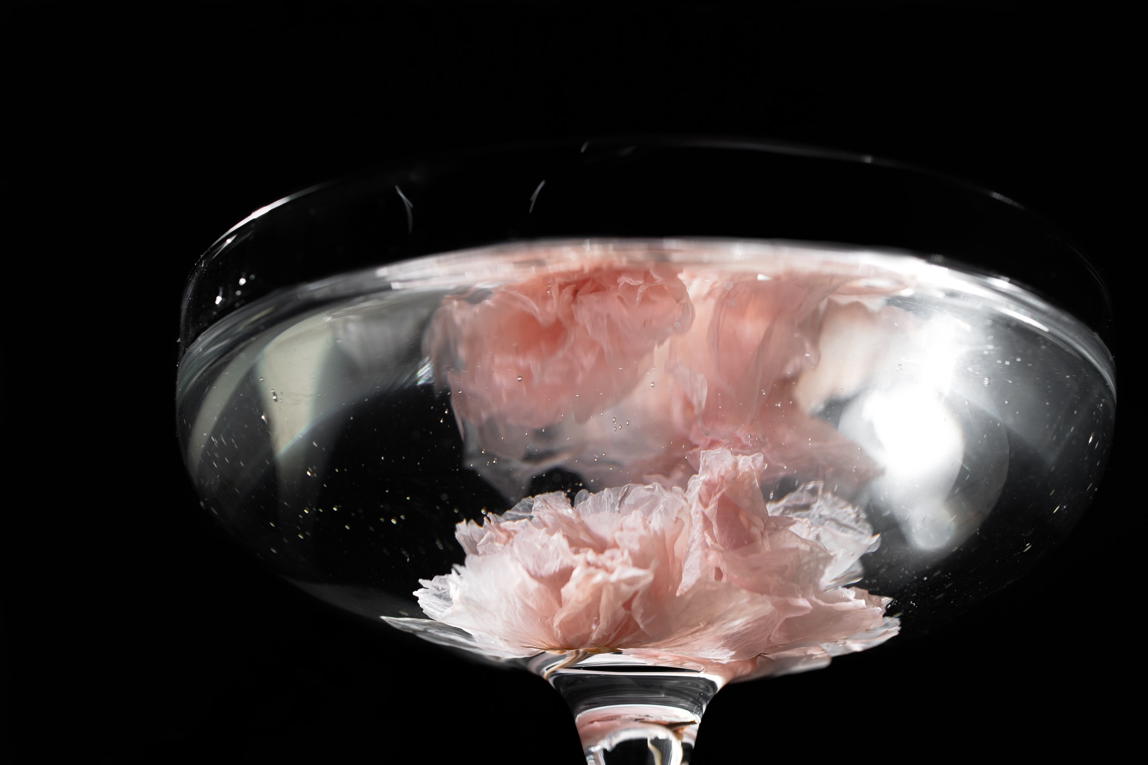 LOBAS EVENT. Фотограф Агеева Мария