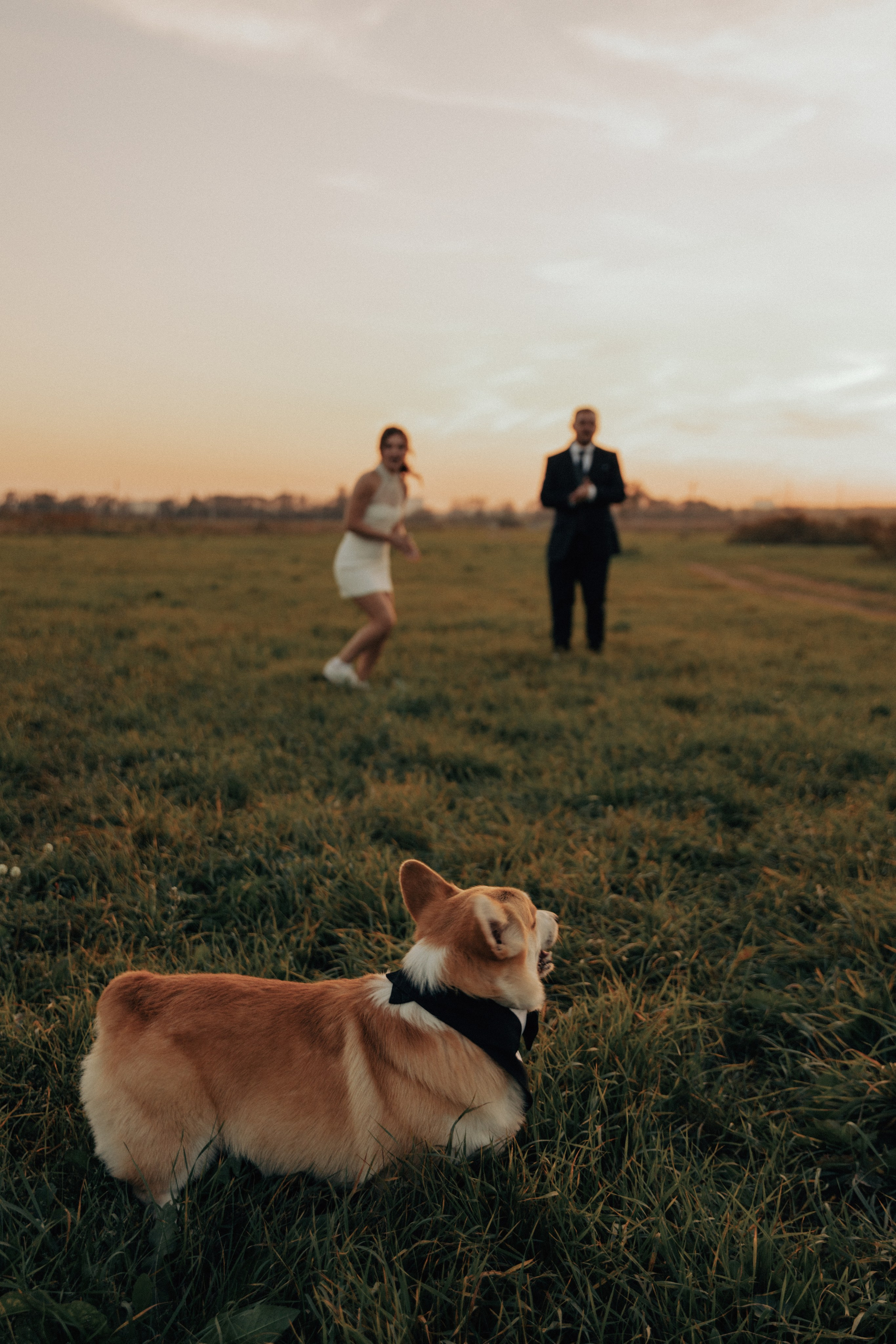 LOVE. Главная