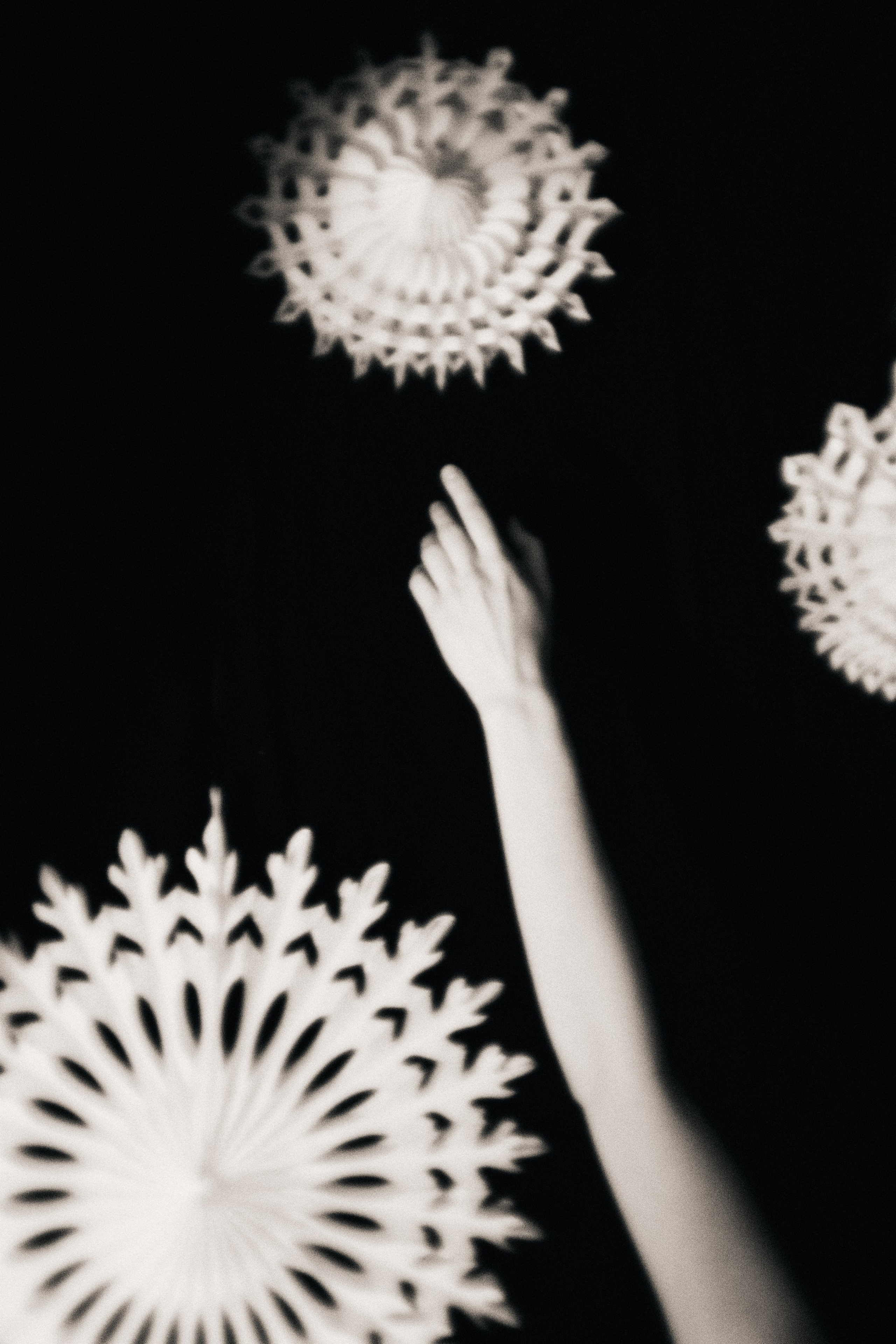 Last Year’s Snow. Fashion Photographer Oxana Chernomorets