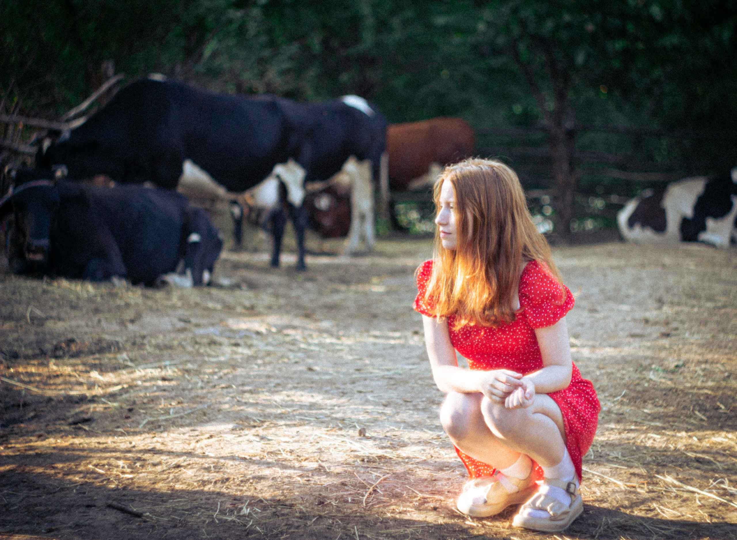 Платье в горошек. • Фотограф Александра Светозар Алчевск •