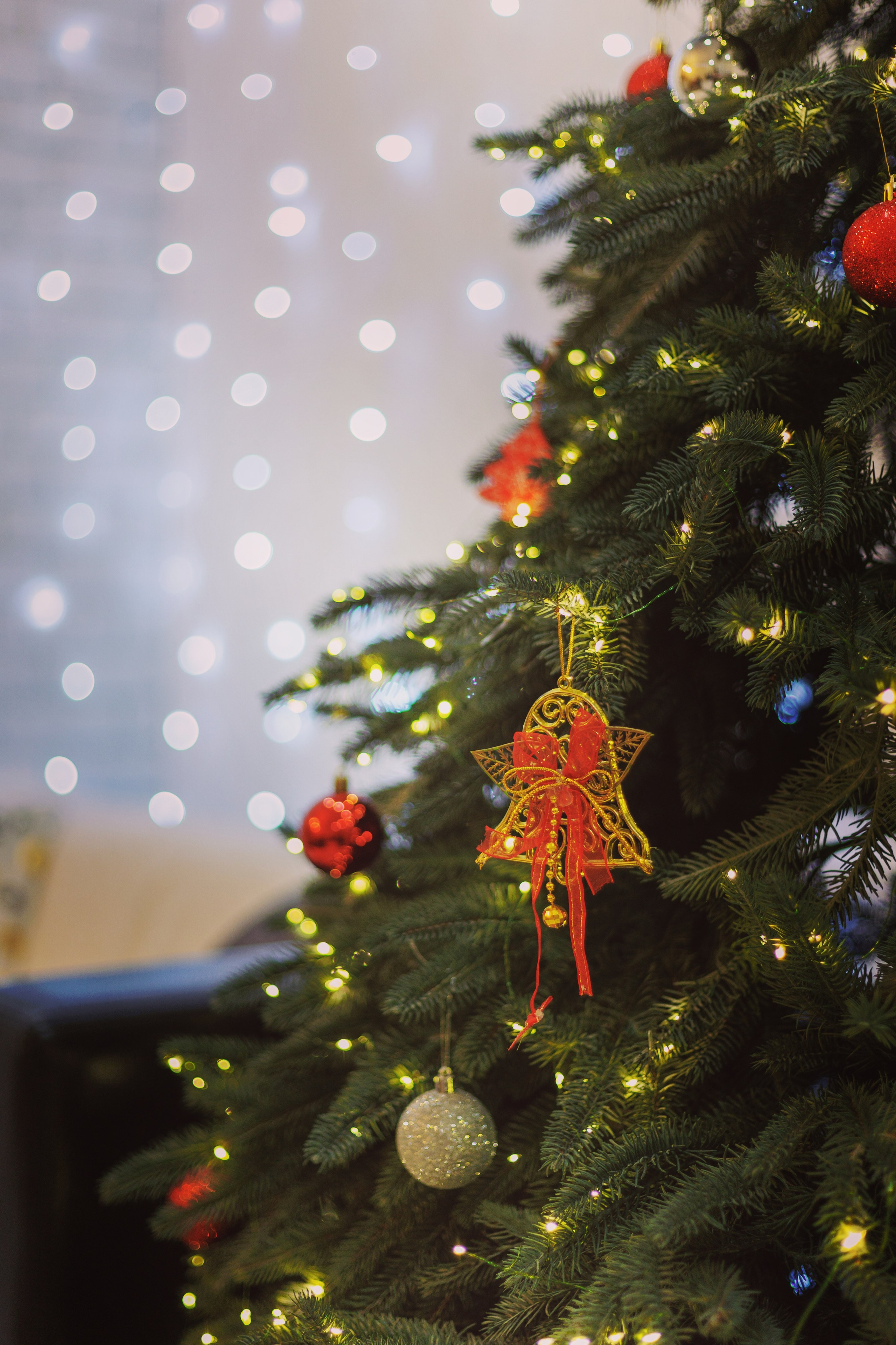 Новогодняя фотосессия. Фотограф Пятигорск Кисловодск КМВ — Олег Олди