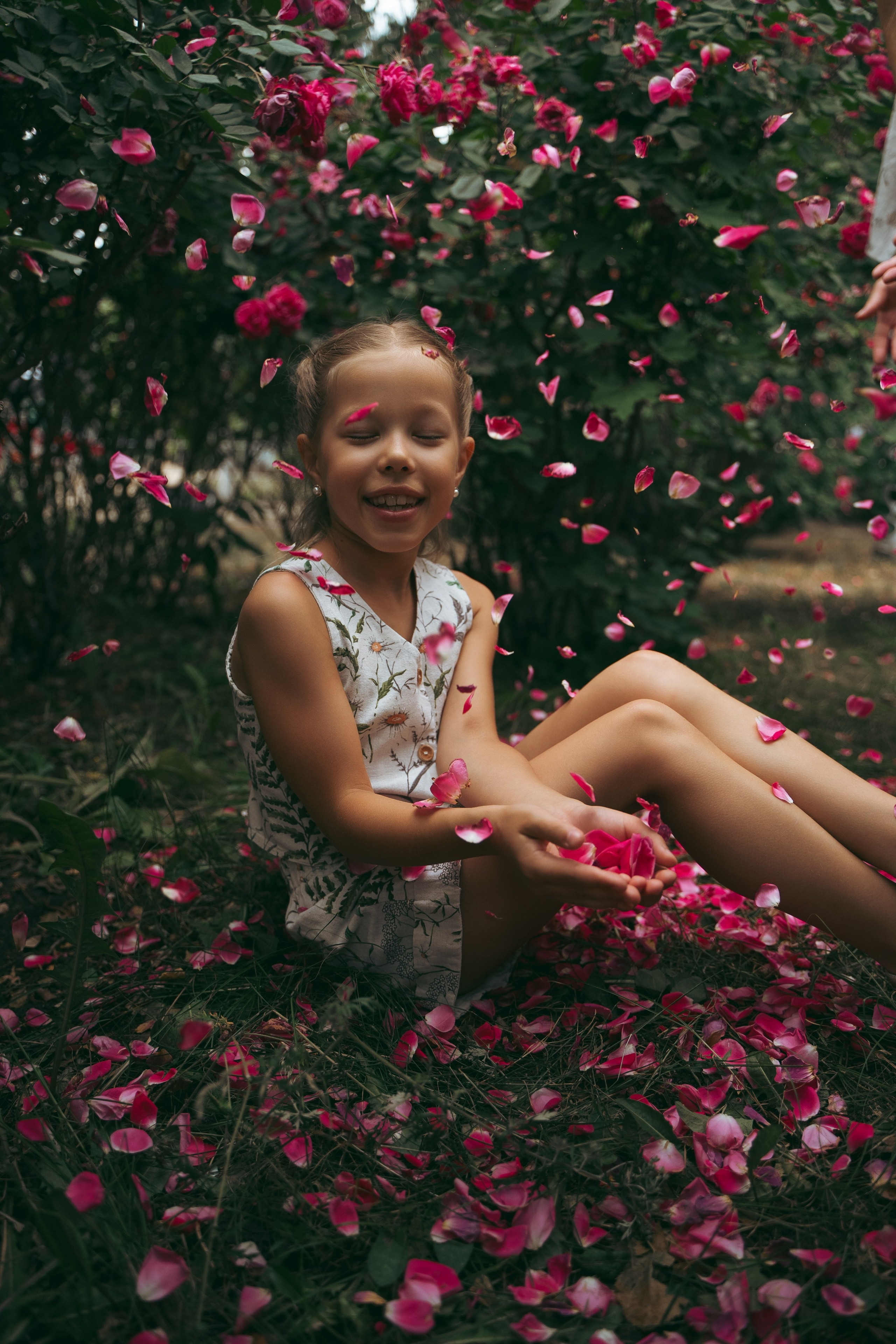 Розы. Фотограф Мария Зайчик