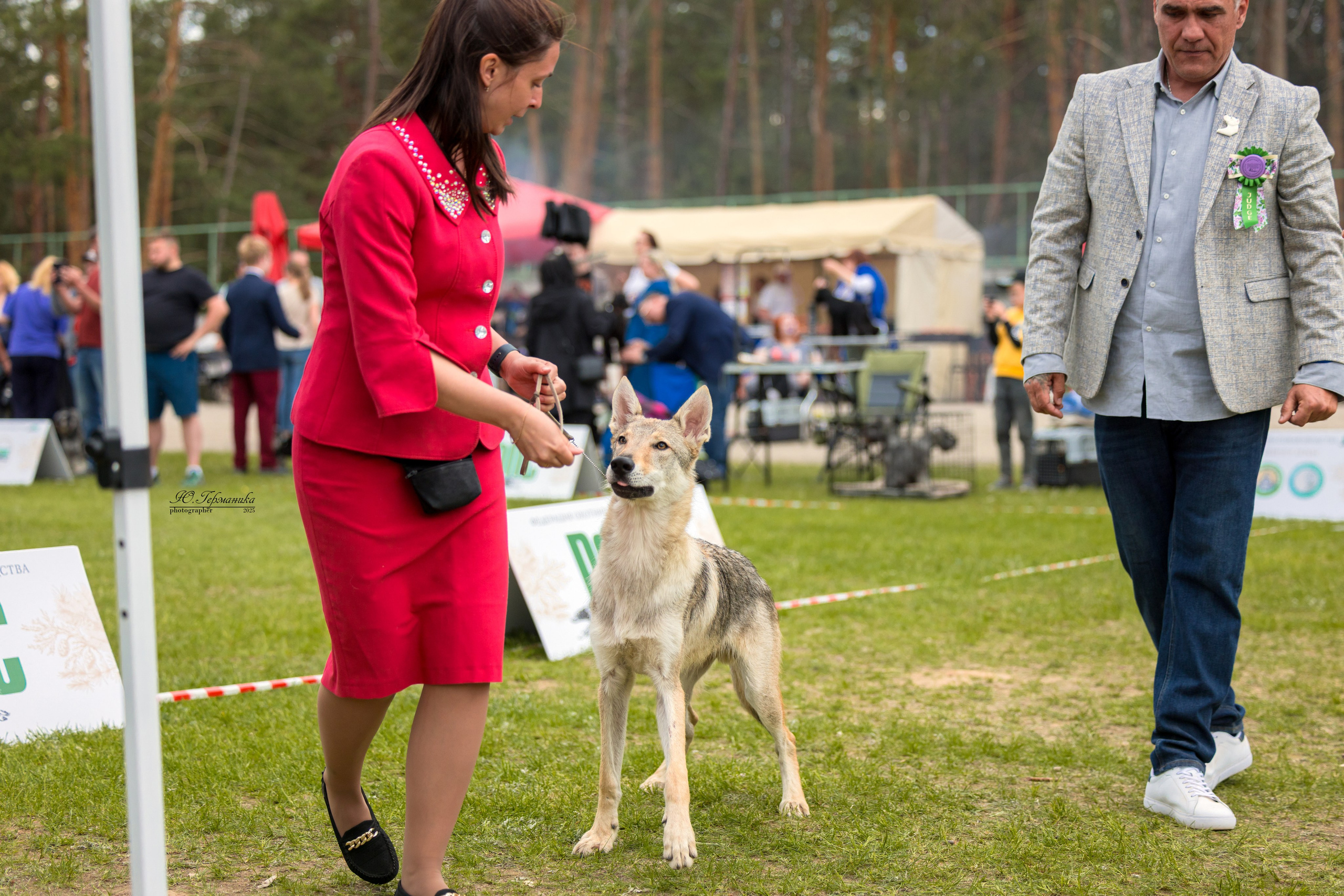 Суздаль(Владимир)17-18.05.2025. Фотограф-анималист Юлия Германика