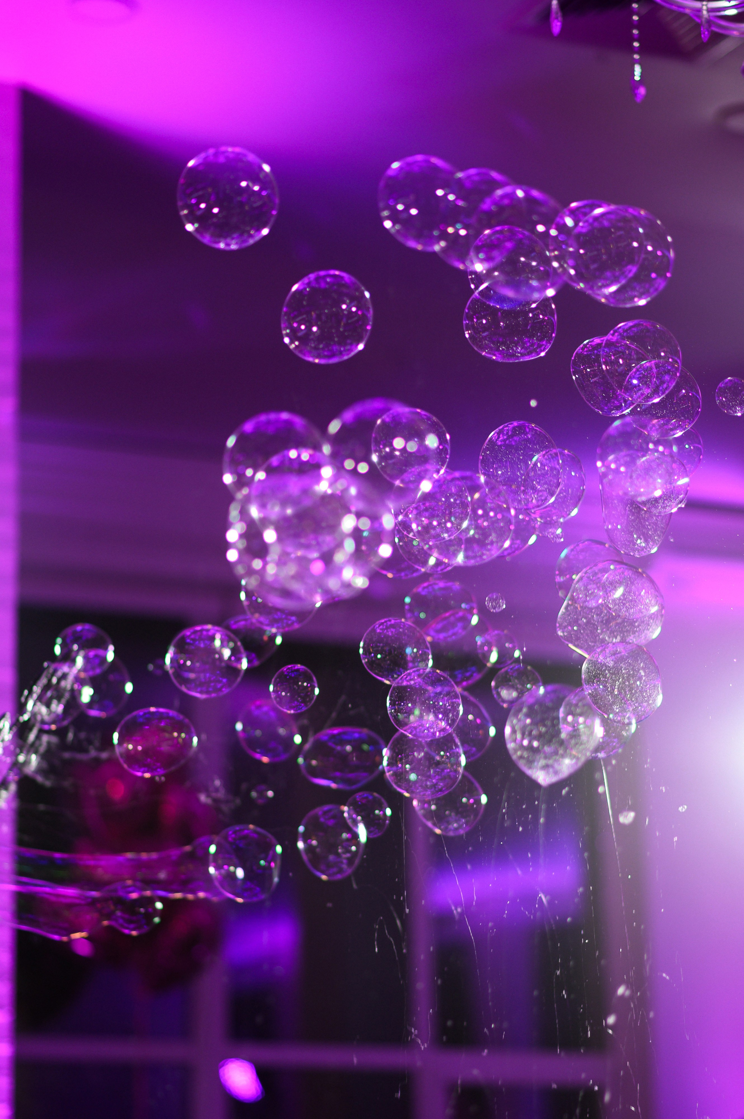 Mia's one year. Свадебный фотограф Минск