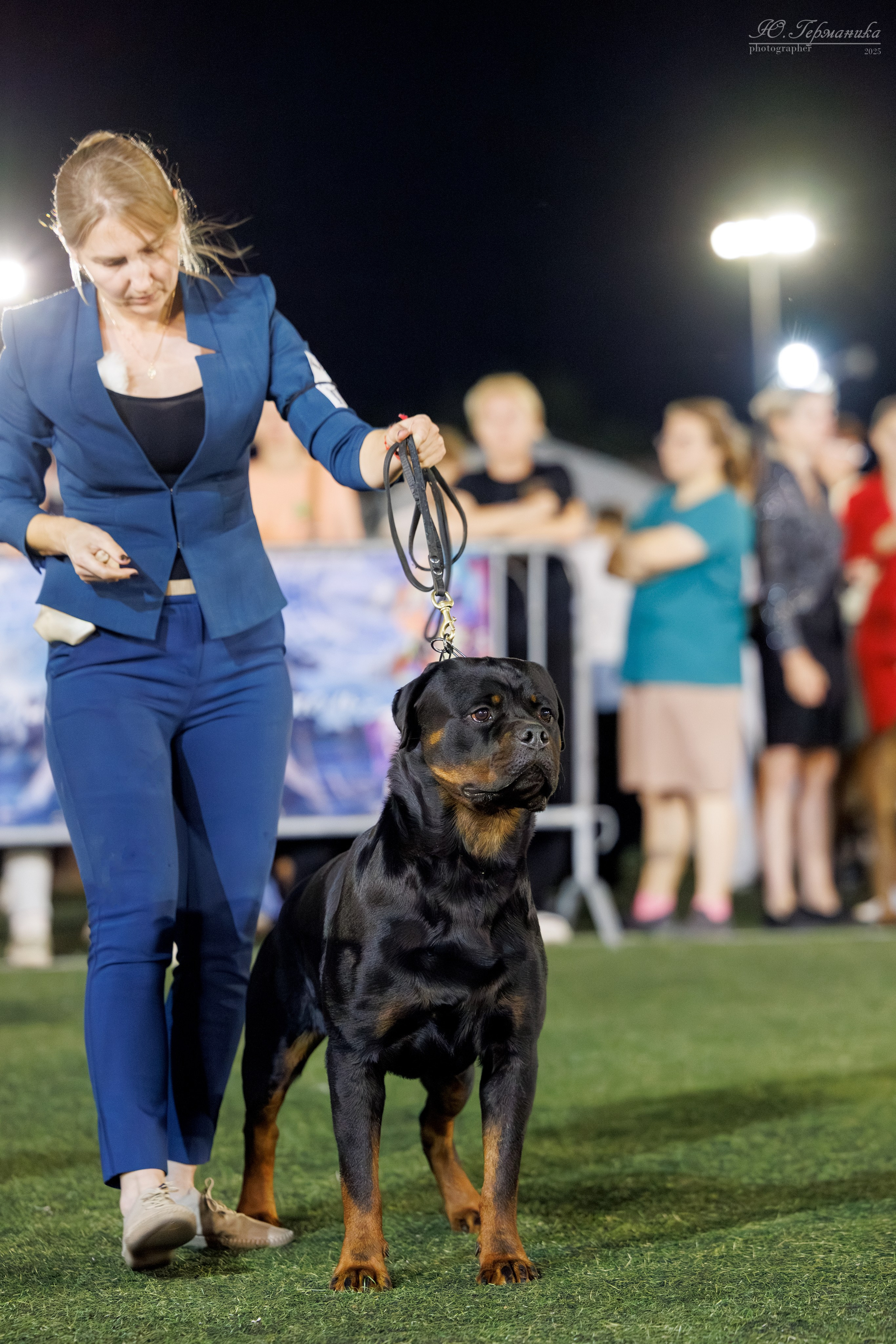 Калининград 25-27.07 Волгоград 1-3.08 2025. Фотограф-анималист Юлия Германика