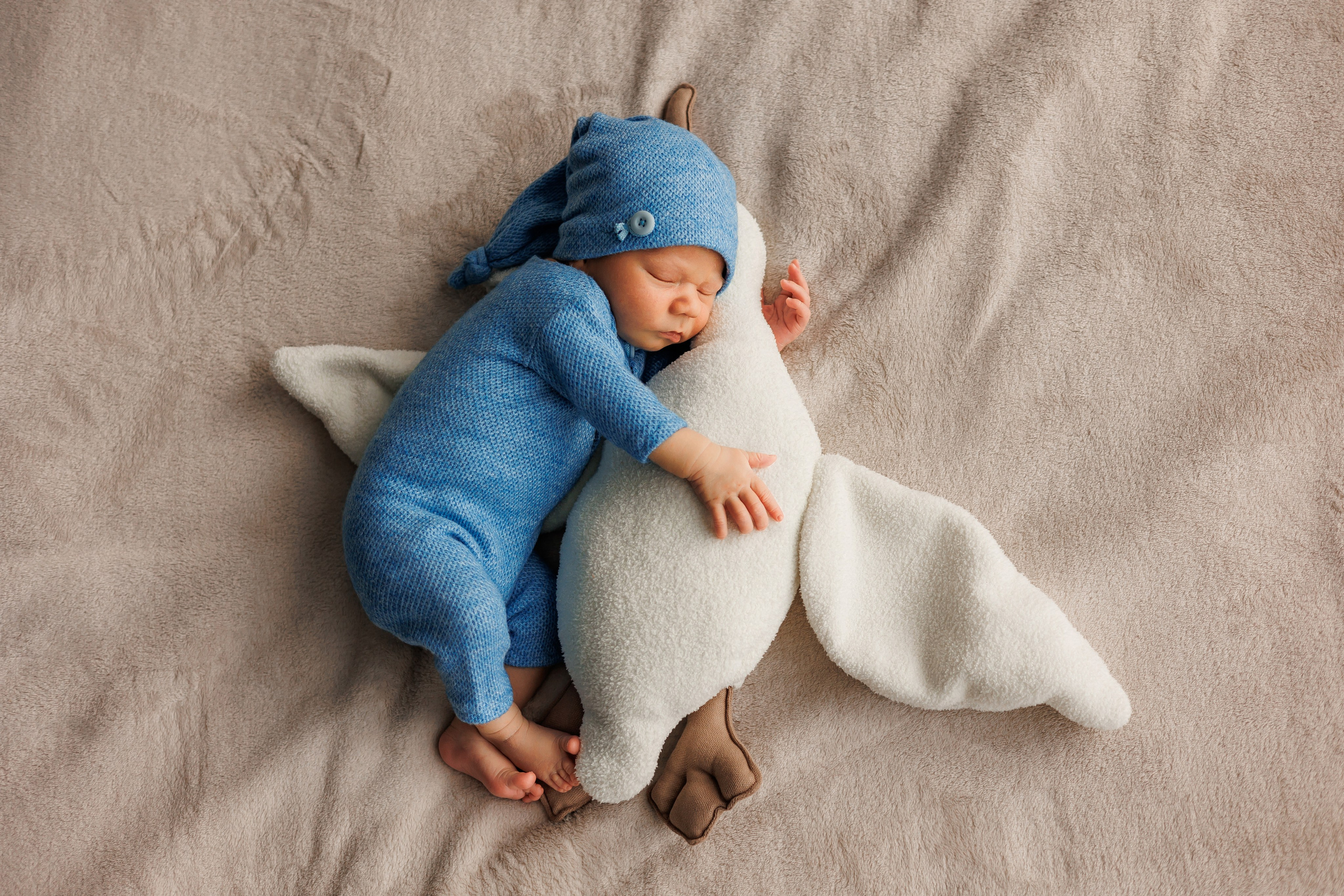 Newborn. Фотограф в Барнауле Олеся Мосина