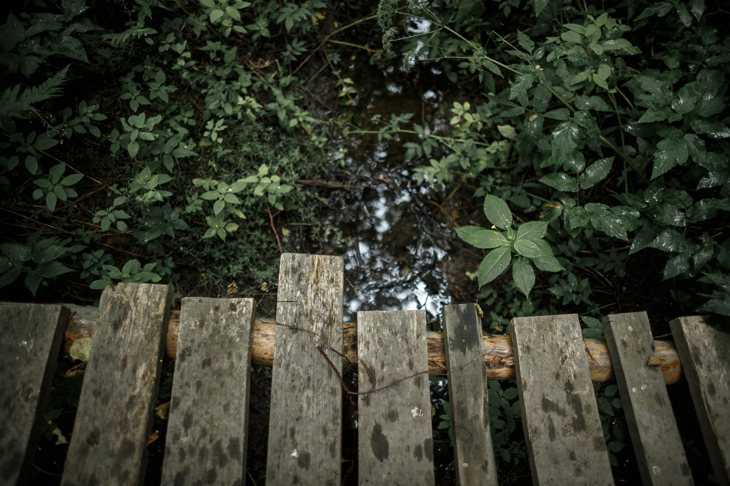 Венчание. Свадебный фотограф Игорь Брундасов 8PHOTO на свадьбу венчание загс СПб