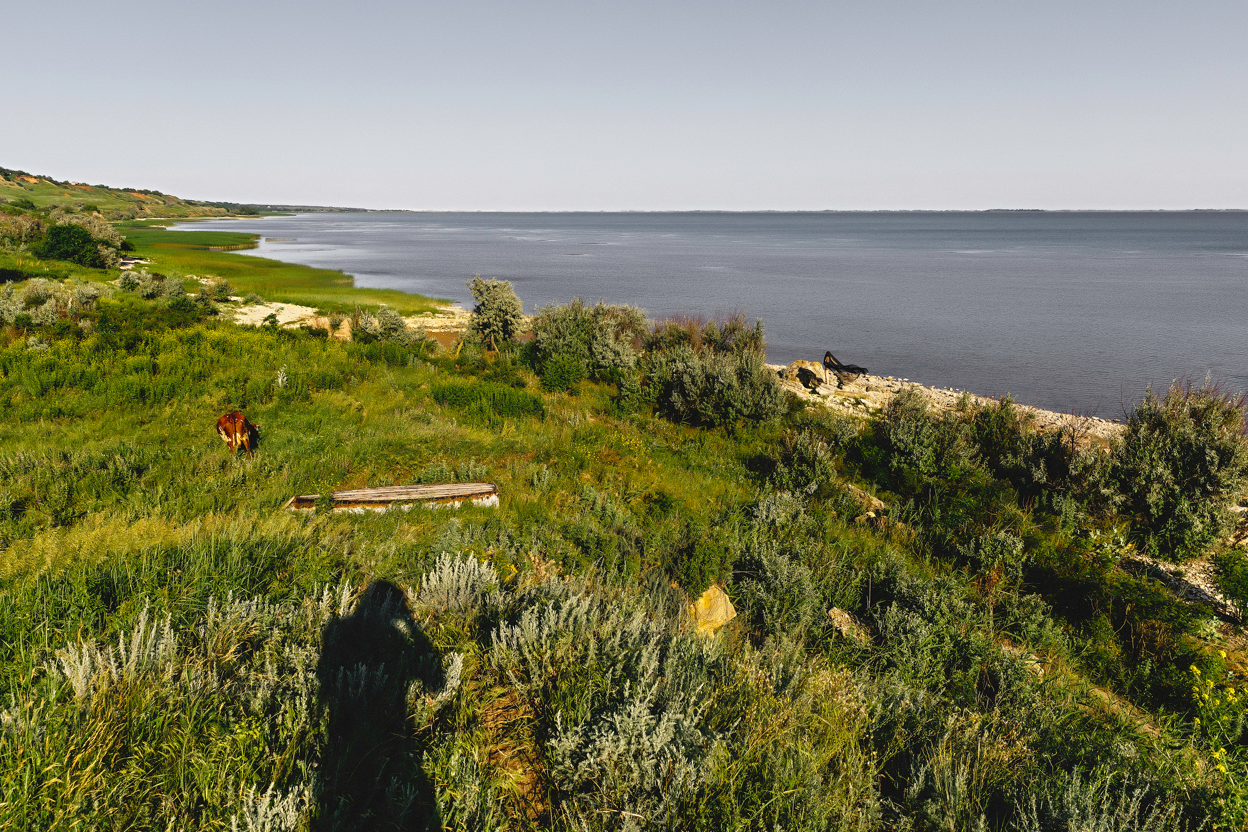 Актуальое. Мелконян Гайк г. Ростов-На-Дону фотограф