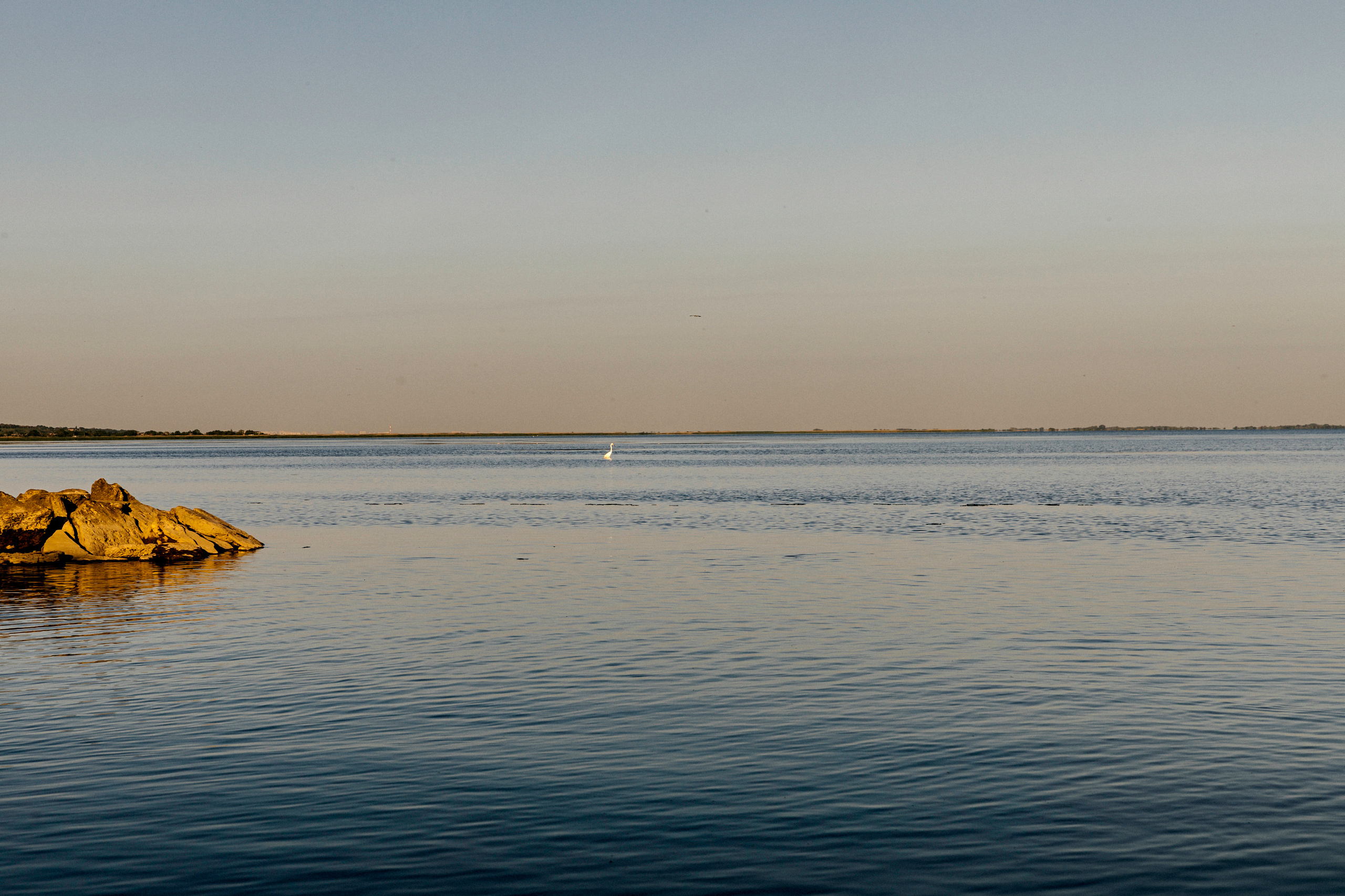 Актуальое. Мелконян Гайк г. Ростов-На-Дону фотограф