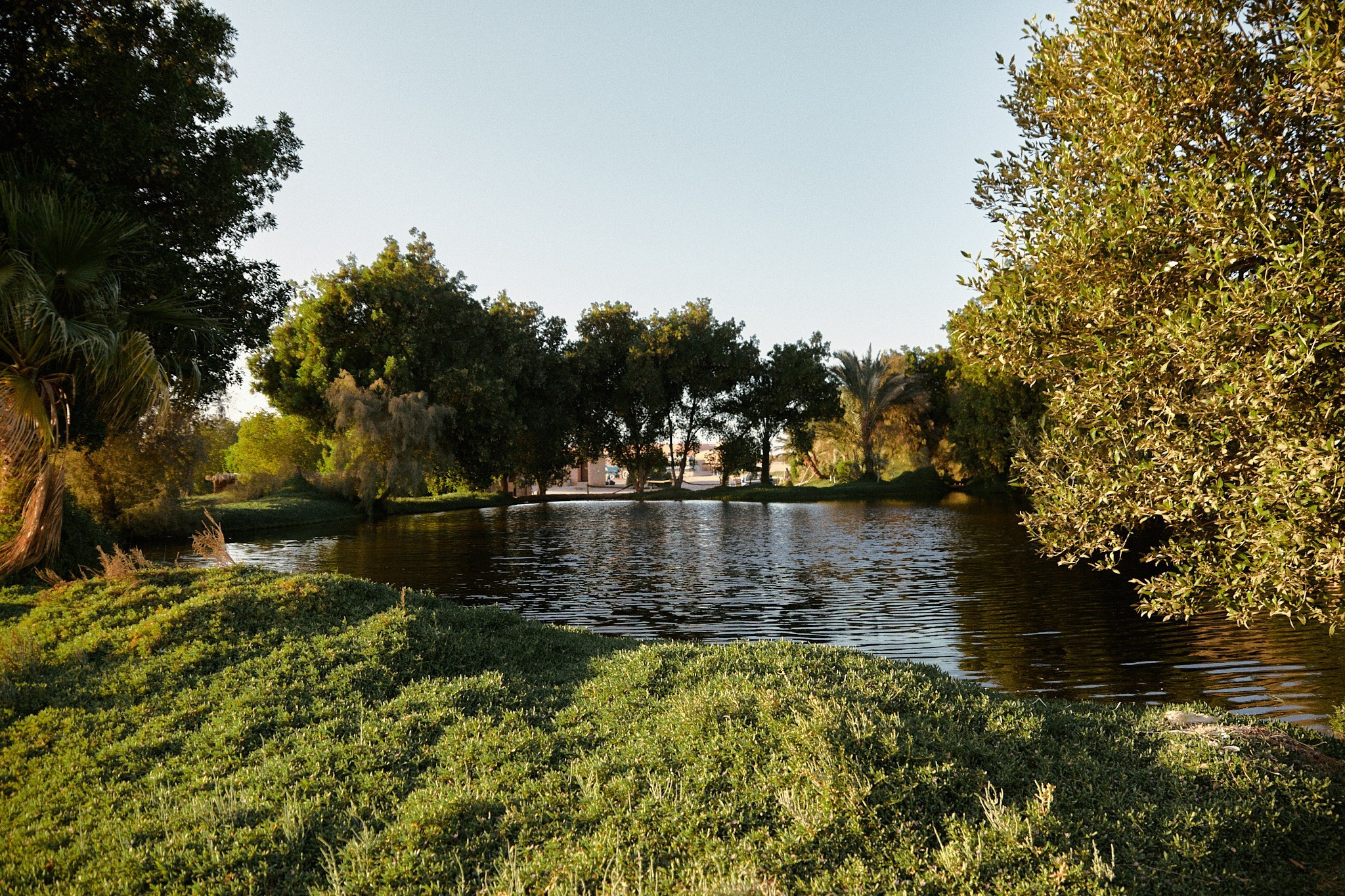 Эль-Гуна — рыбная ферма. Jorgis — фотограф в Хургаде / обучение фотографии