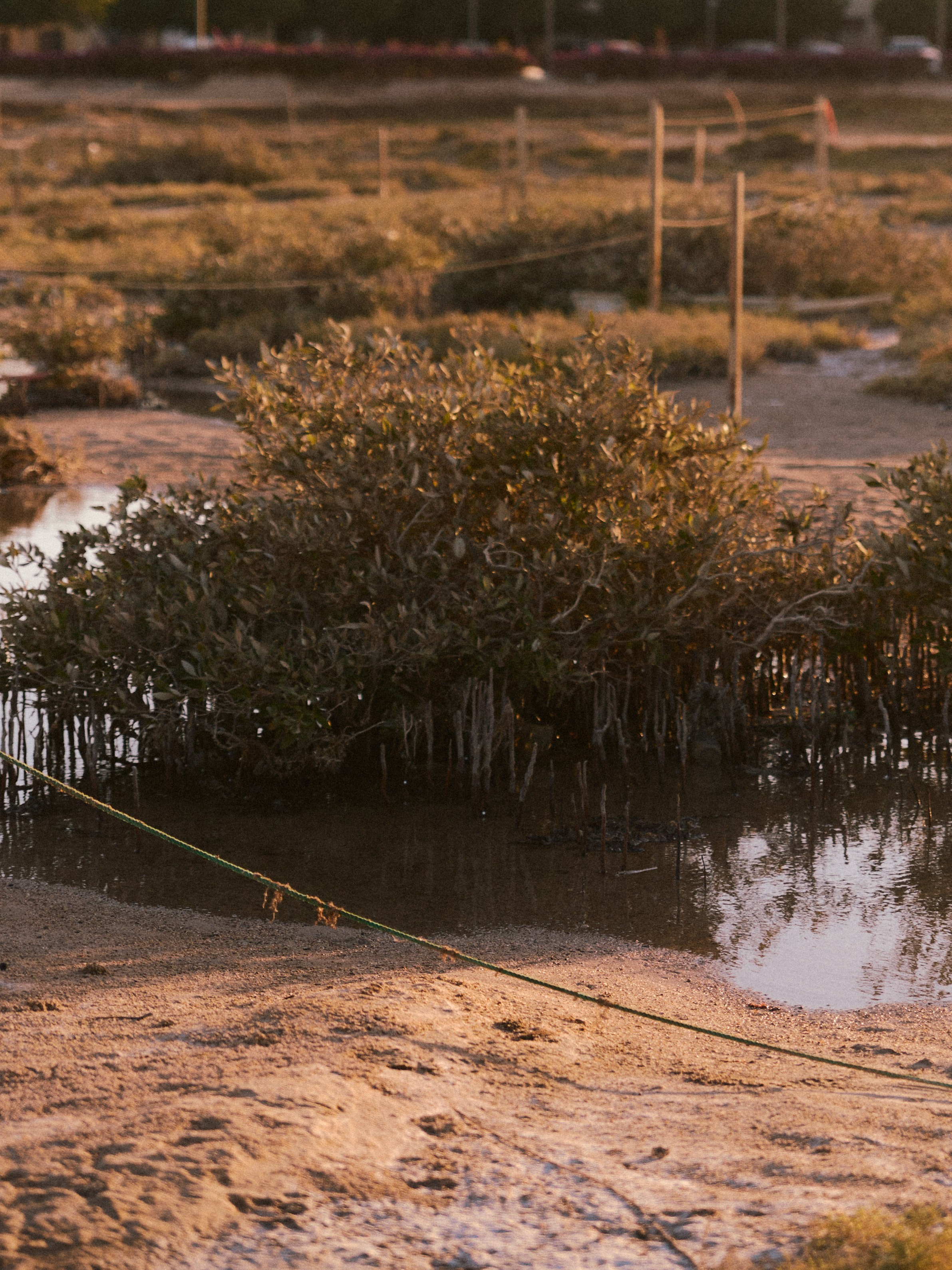 Другое 2. Jorgis Talè — photographer, kind person, teacher of arts and other mag