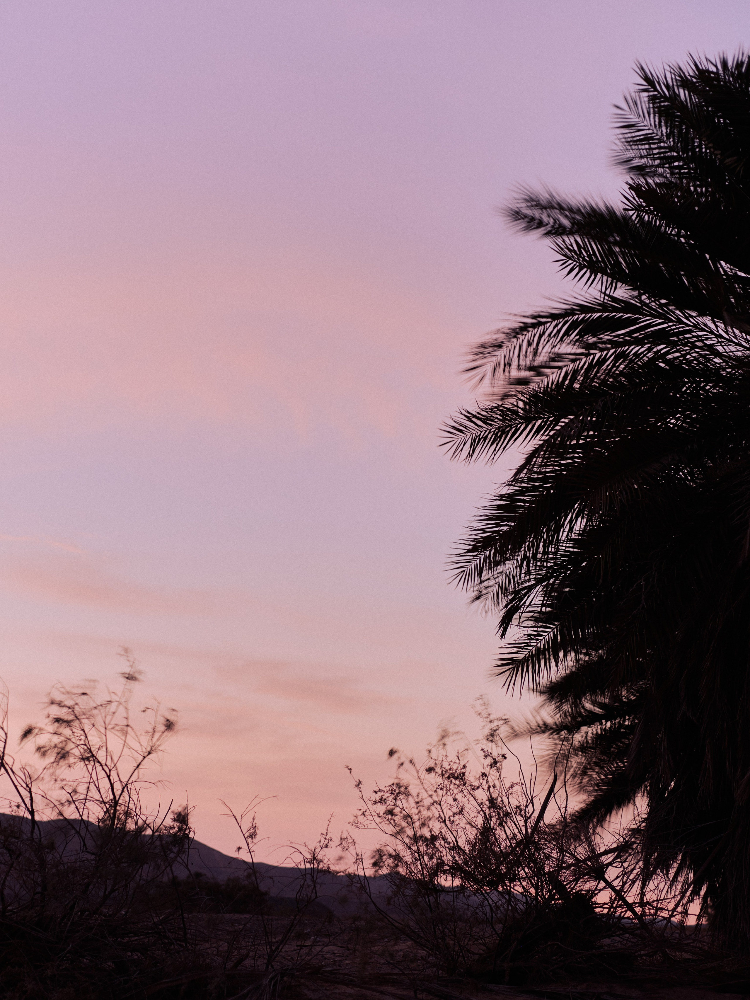 Другое 3. Jorgis Talè — photographer, kind person, teacher of arts and other mag