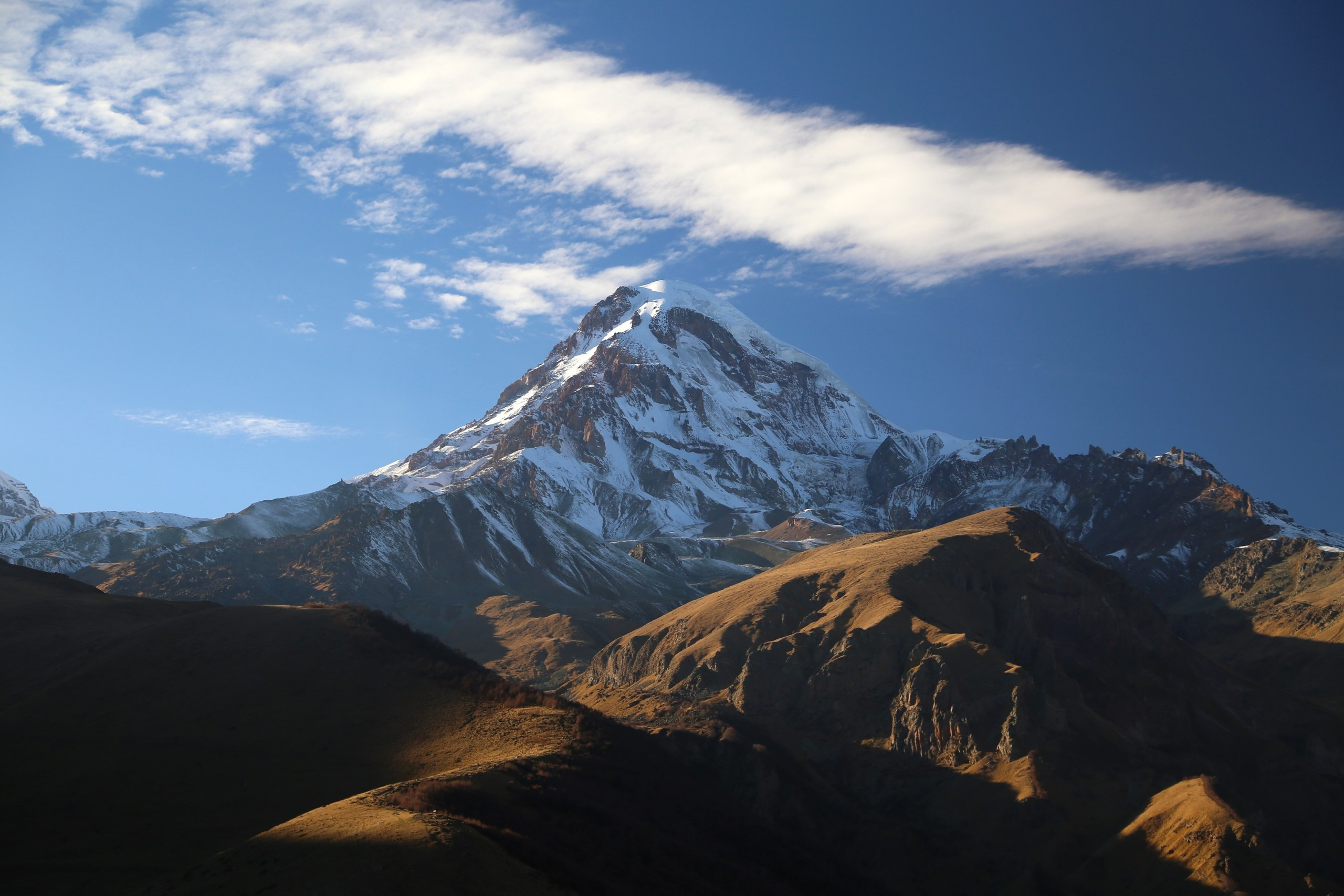 Begomvprofcom.wfolio.pro