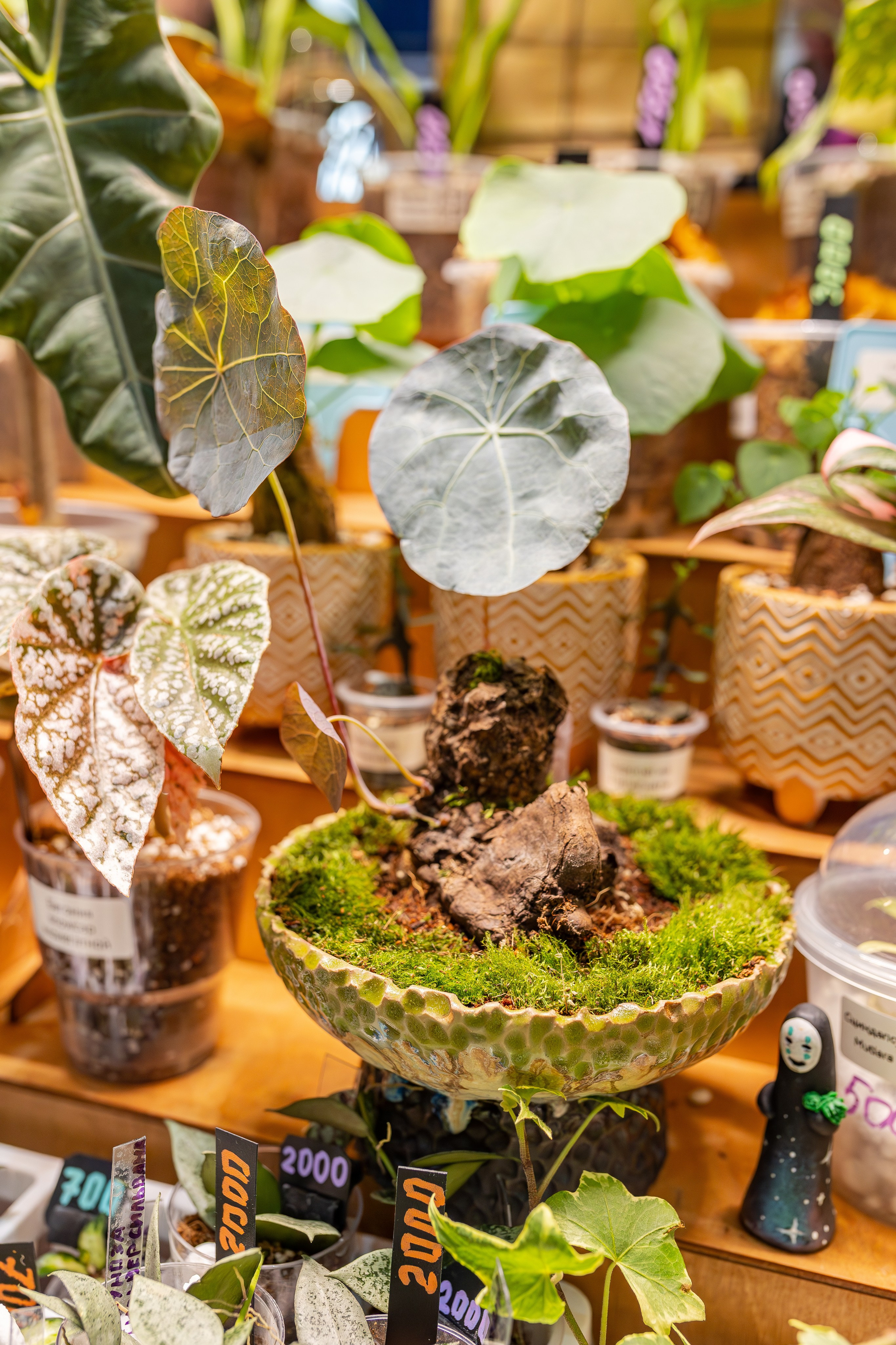 Монстериум апрель 2026. Александра Куликова фотограф, Москва