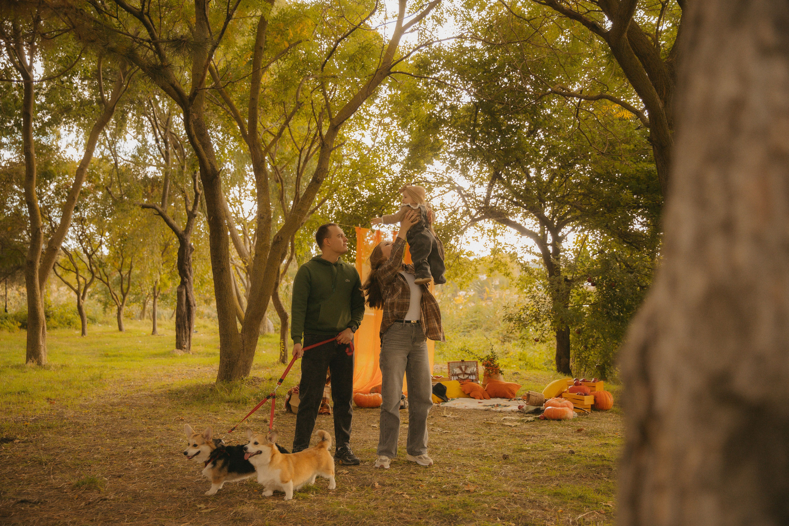 Фотопроект с корги