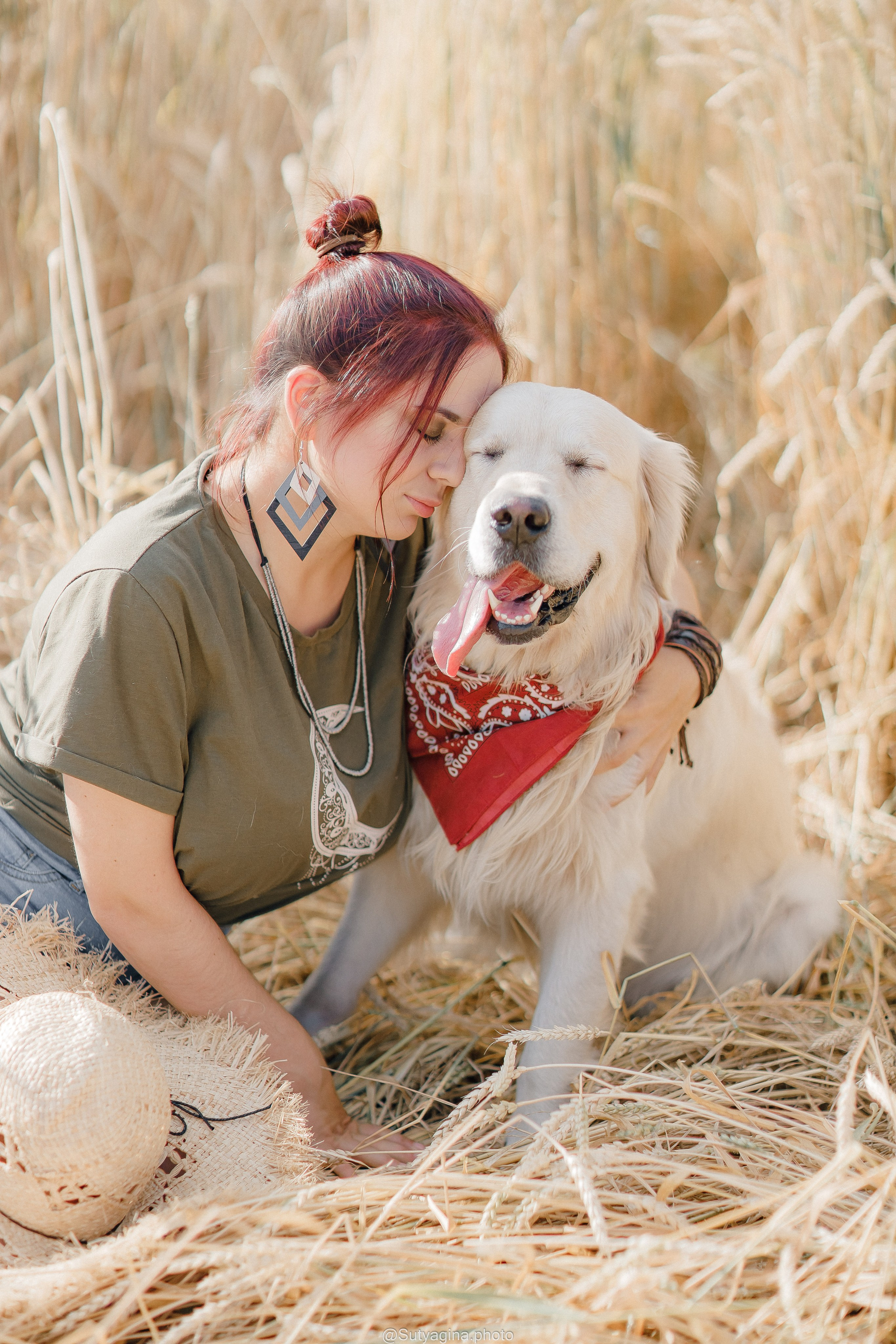 Золотистый ретривер Снежик. Свадебный и женский фотограф