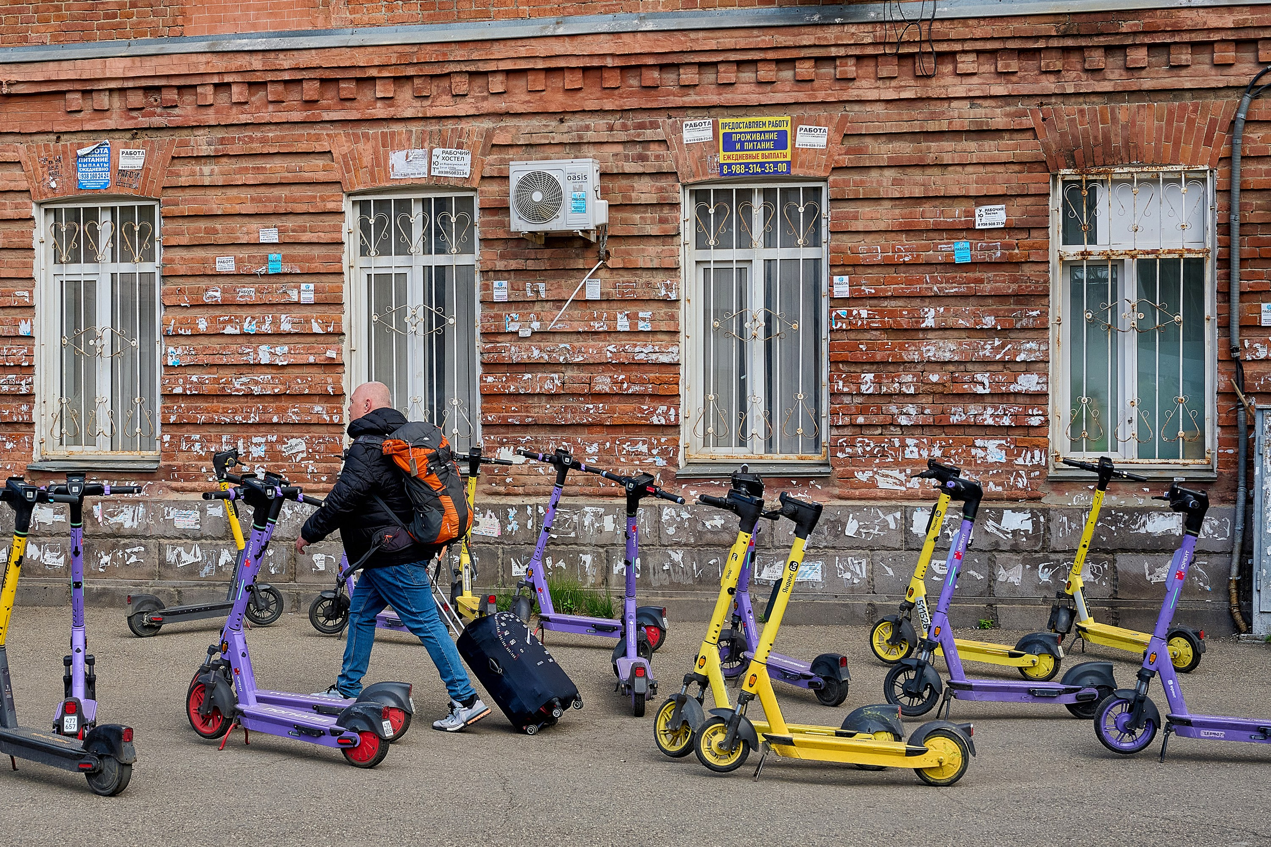 Жизнь, люди, стрит, вокруг, животные, на улице. Яркие фото на Чёрном море
