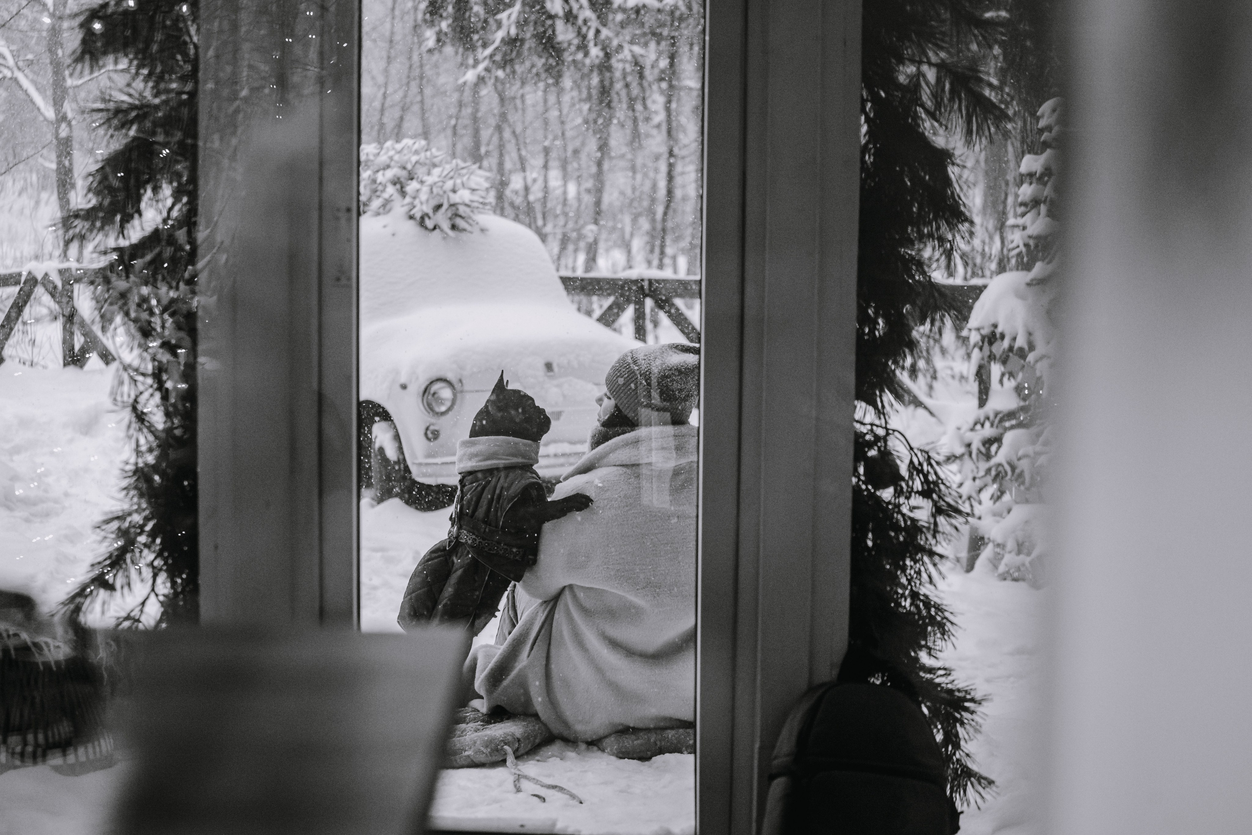 Кантри Хаус. Фотограф-анималист Татьяна Степанова