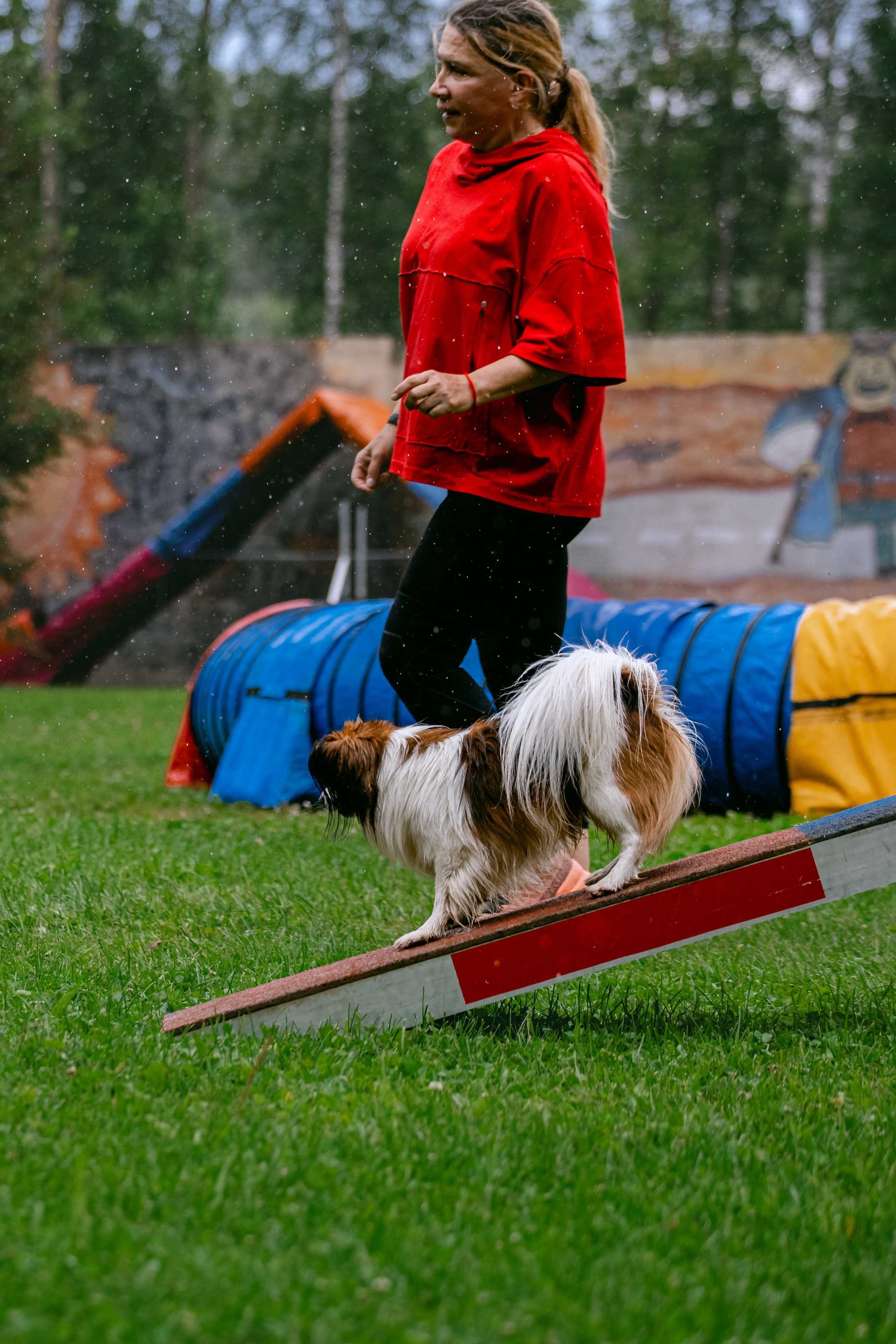 Соревнования по аджилити Долгопрудный 30.06.2025. Фотограф-анималист Татьяна Степанова