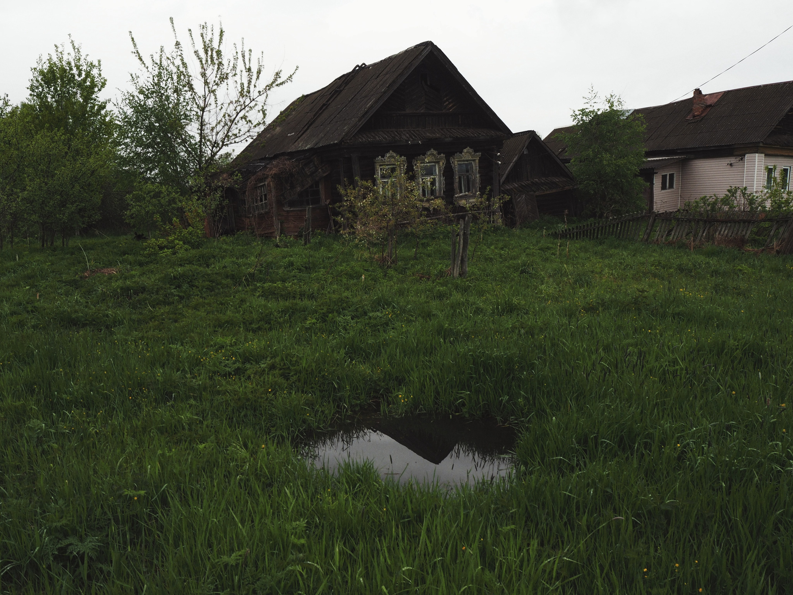 Из сердца лесополосы. Настя Арзуманова, фотограф