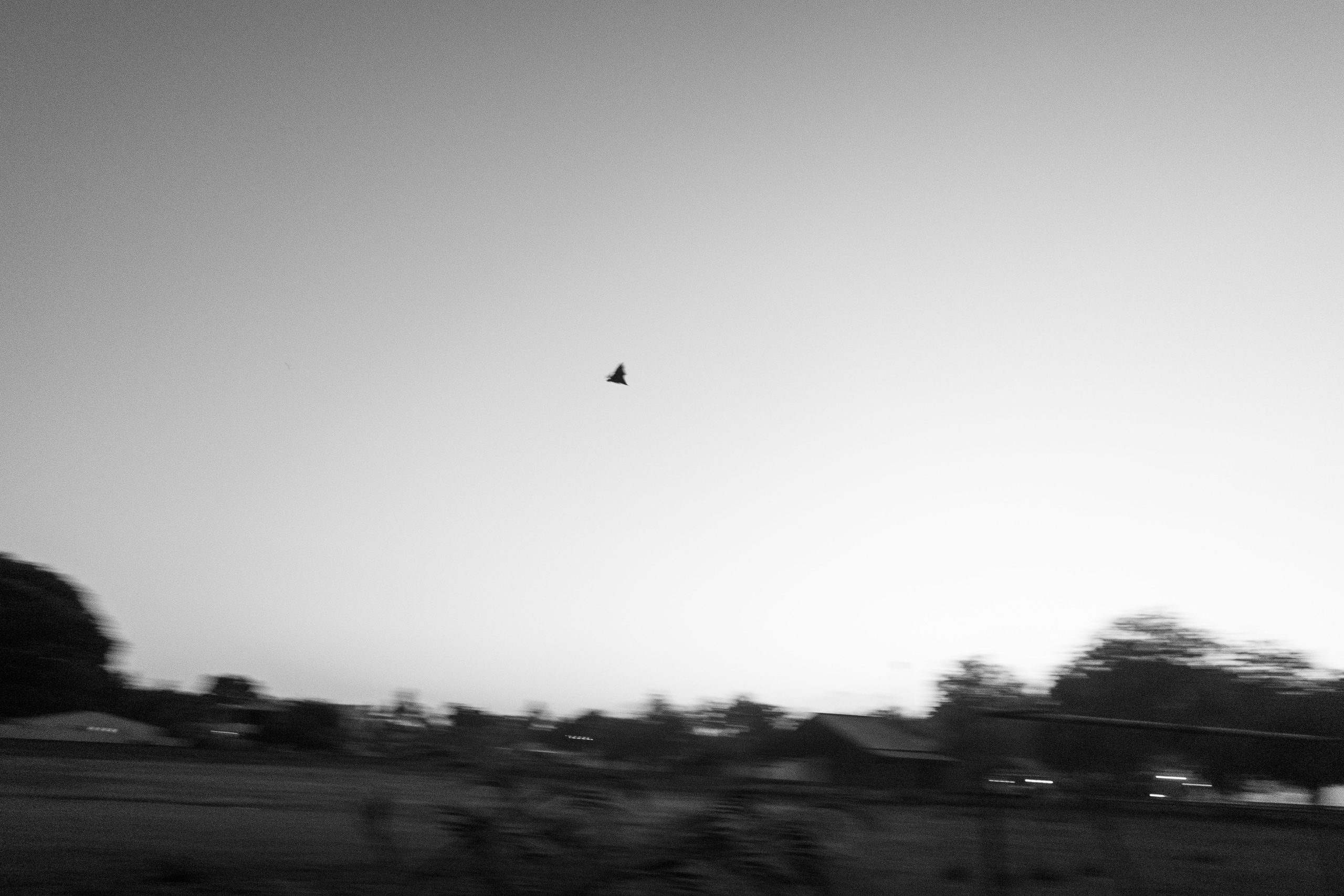 О.Тулусду. Мальдивы. Фотограф Светлана Голицына