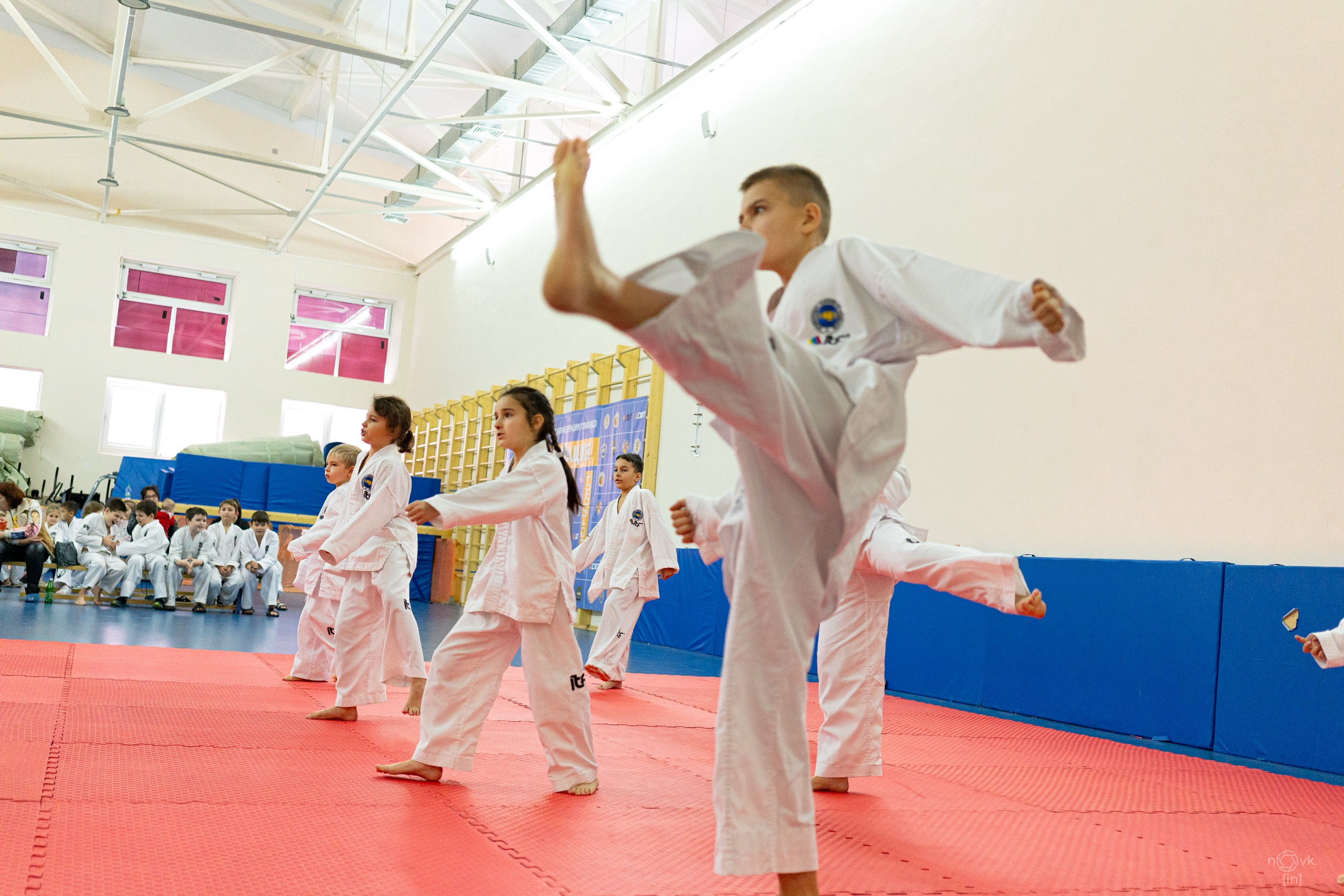 Аттестация Тхэкво. ФОТОГРАФ ИВАН НОВИКОВ | СТАВРОПОЛЬ