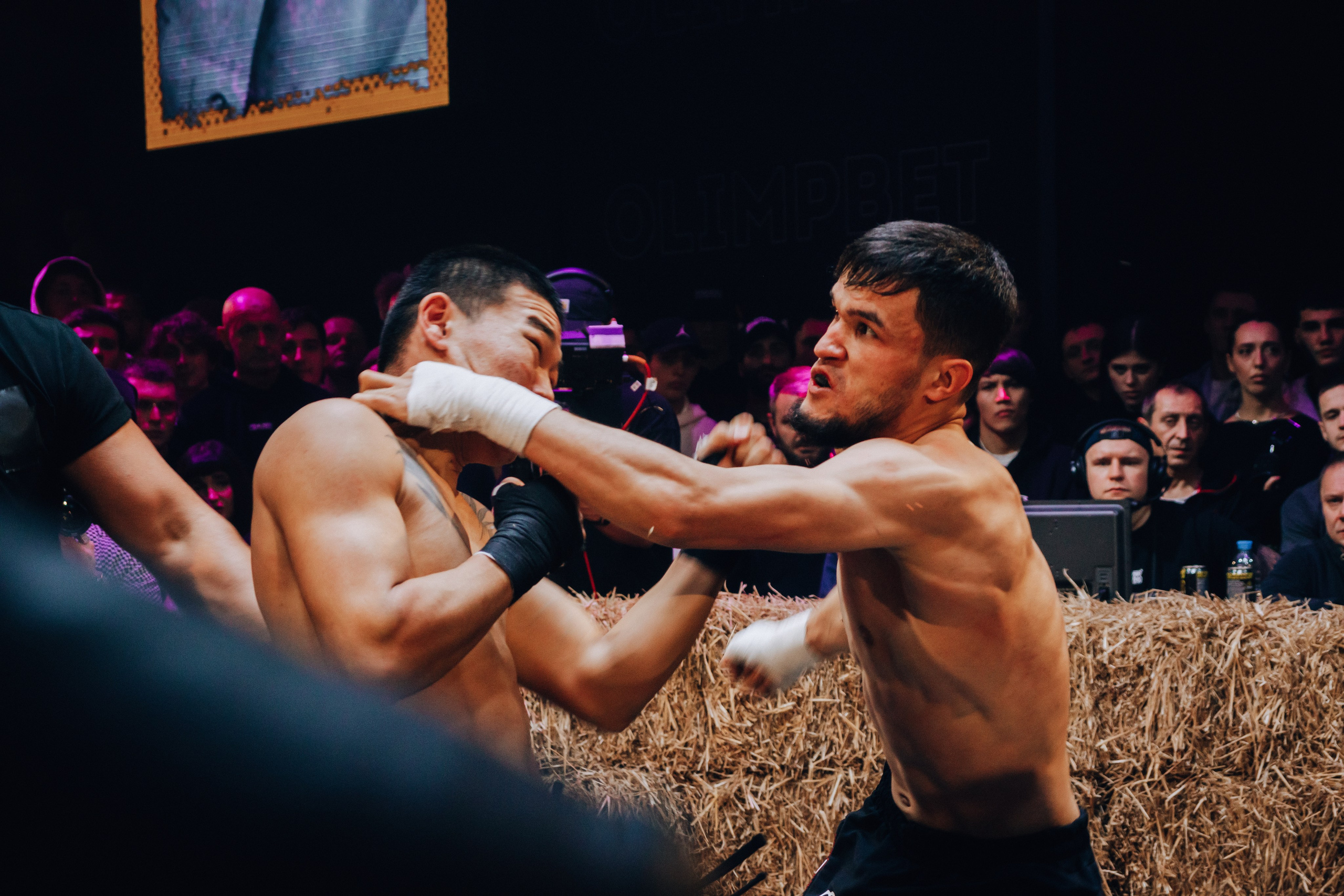 Кулачные бои TopDog. Анастасия Тен