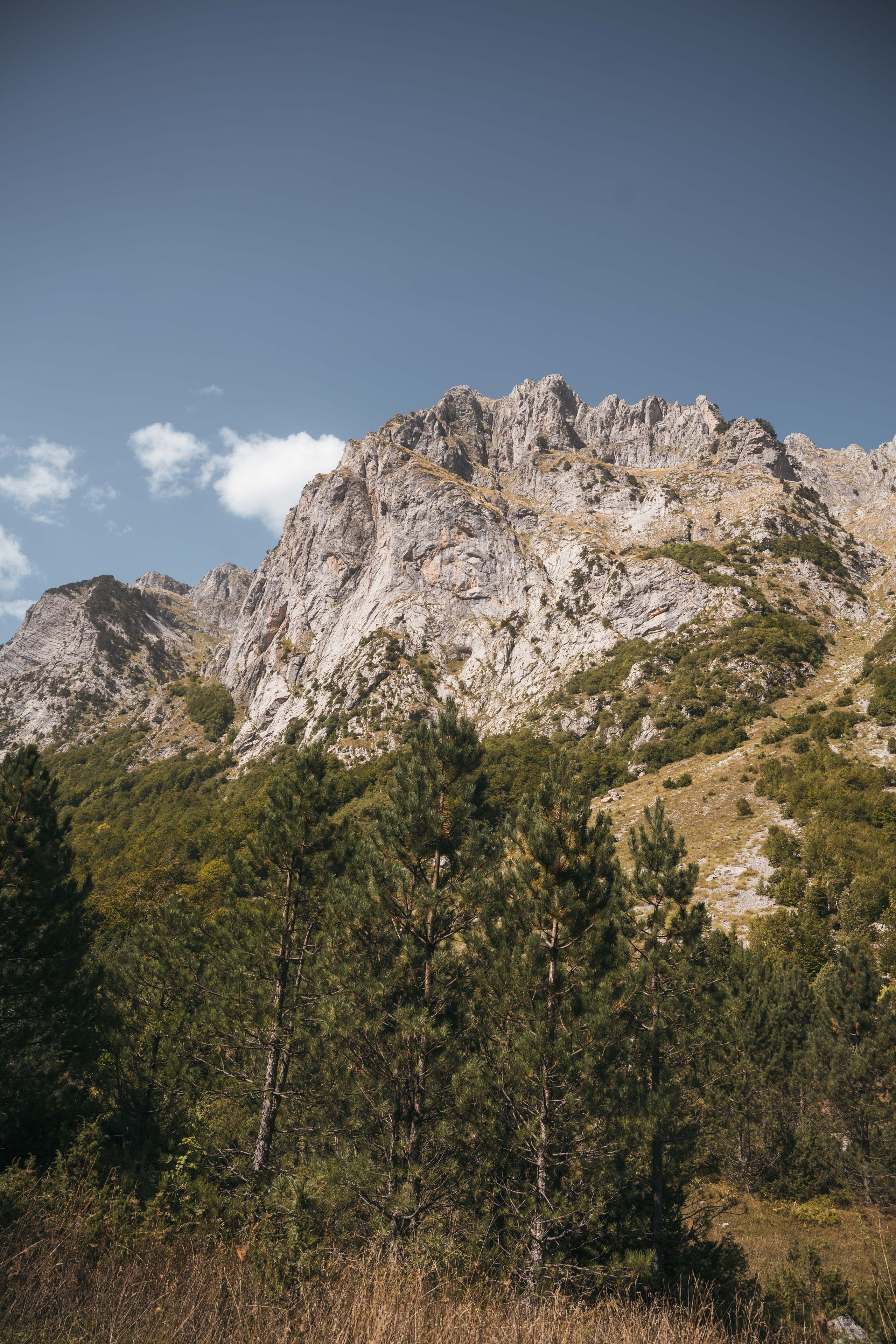 ДОЛИНА РАПОЯНА. ЧЕРНОГОРИЯ. Фотограф в Белграде Чугреева Елена