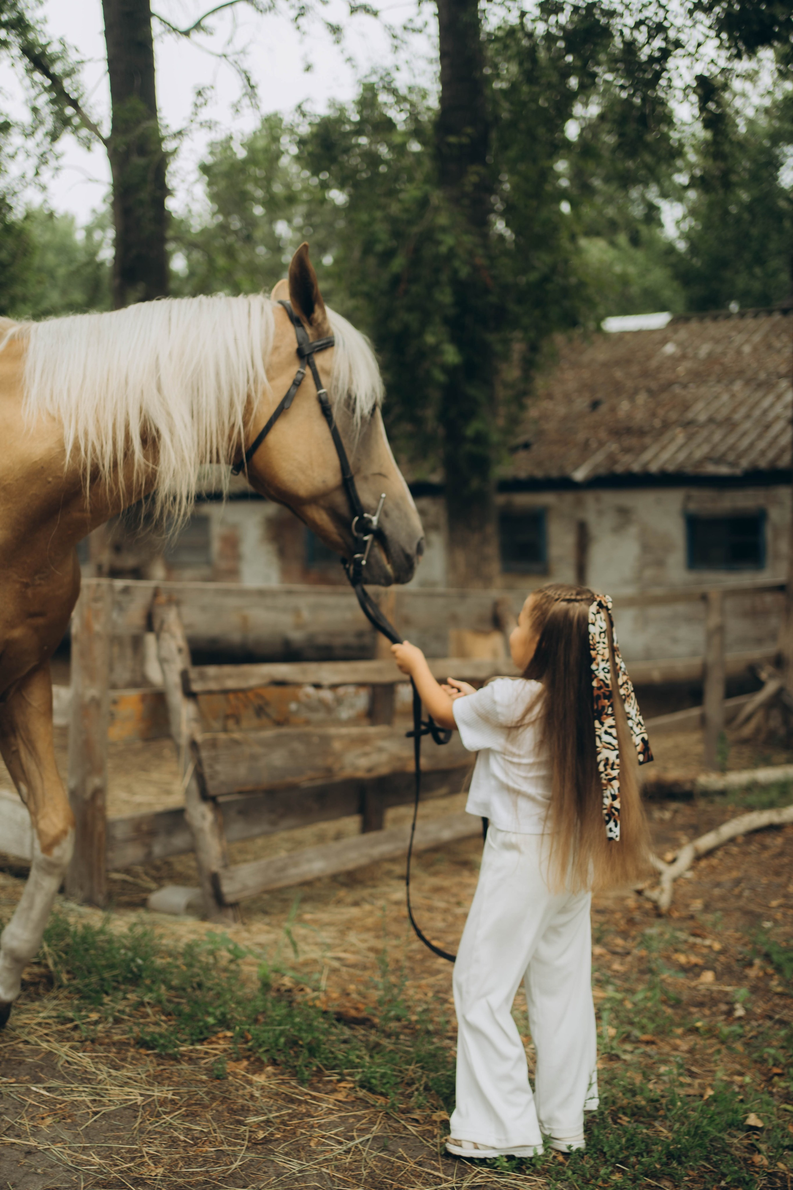 фотограф на ипподром ульяновск
