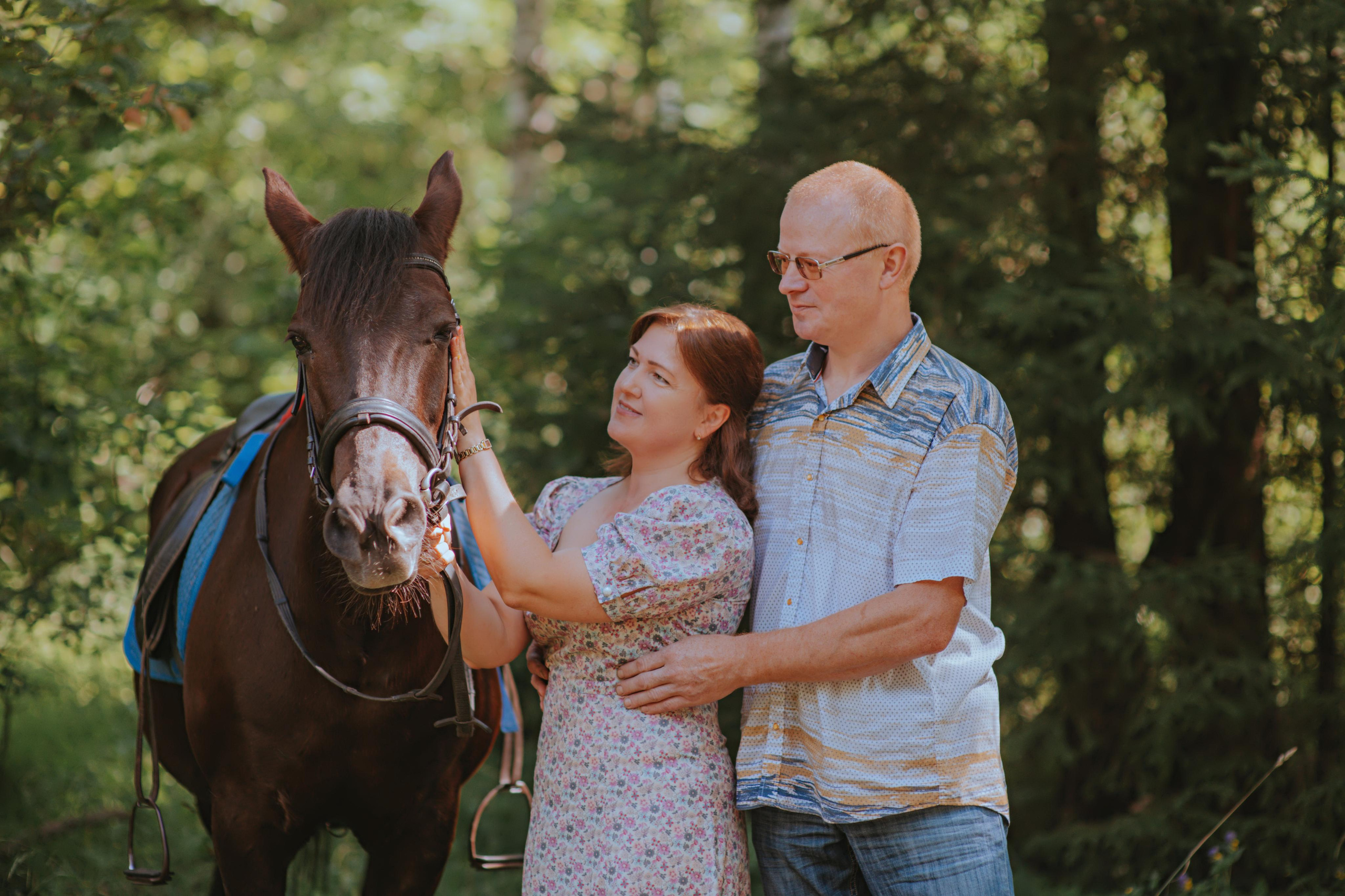 Лошадка. Фотограф Алла Елисеева